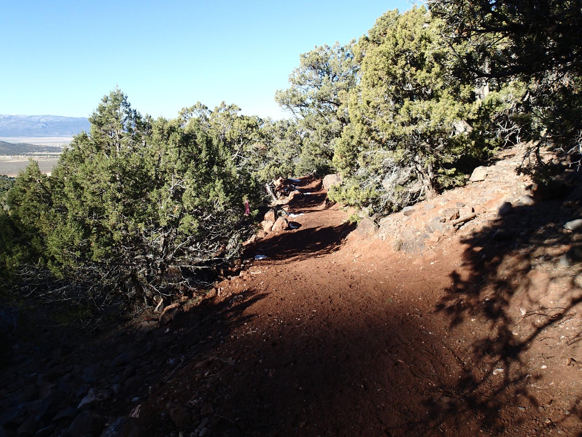 A winding dirt path through arid, rocky terrain with evergreen trees in bright sun.