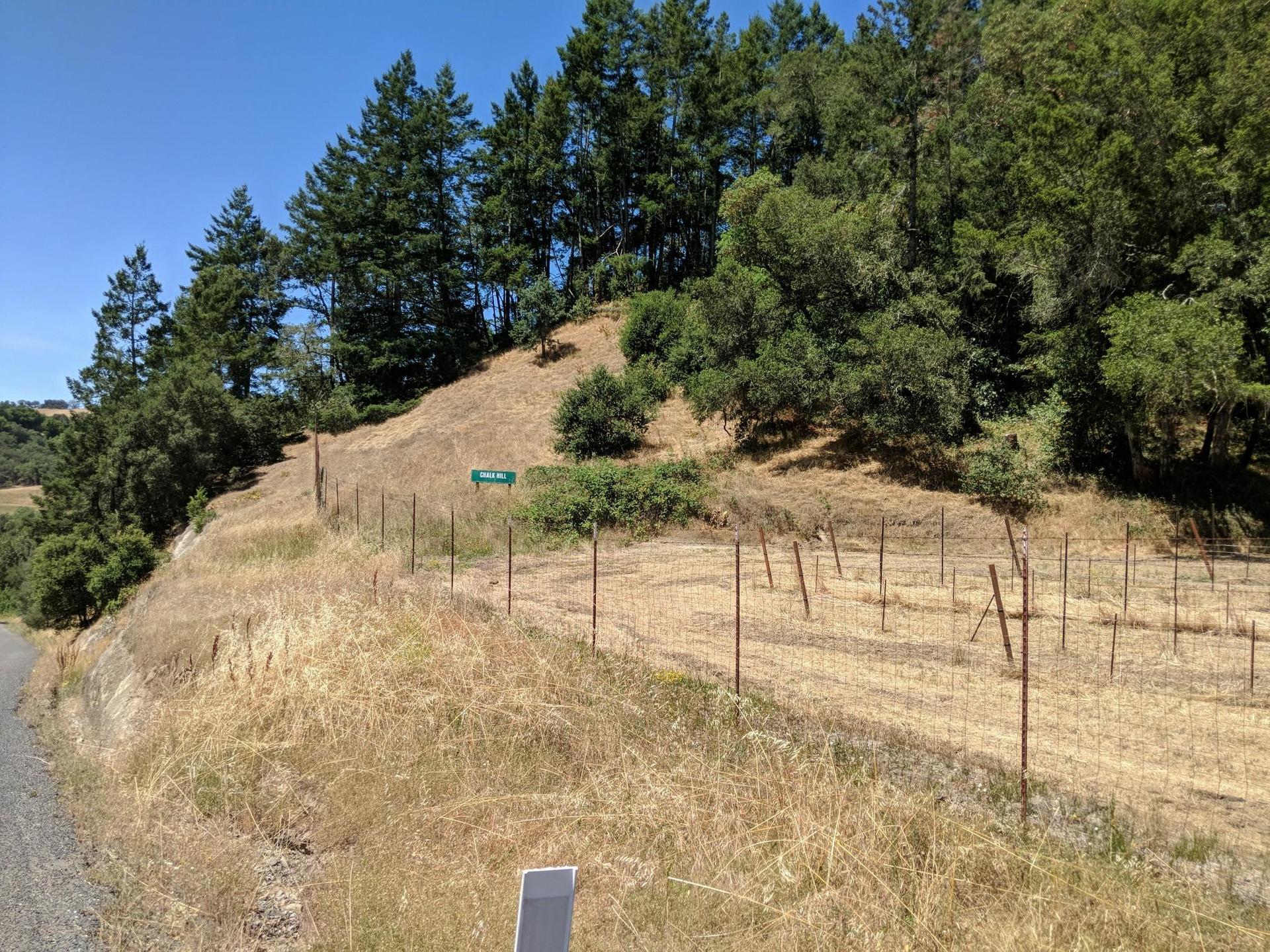 A fenced hillside with dry grass and tall trees under a bright blue sky.