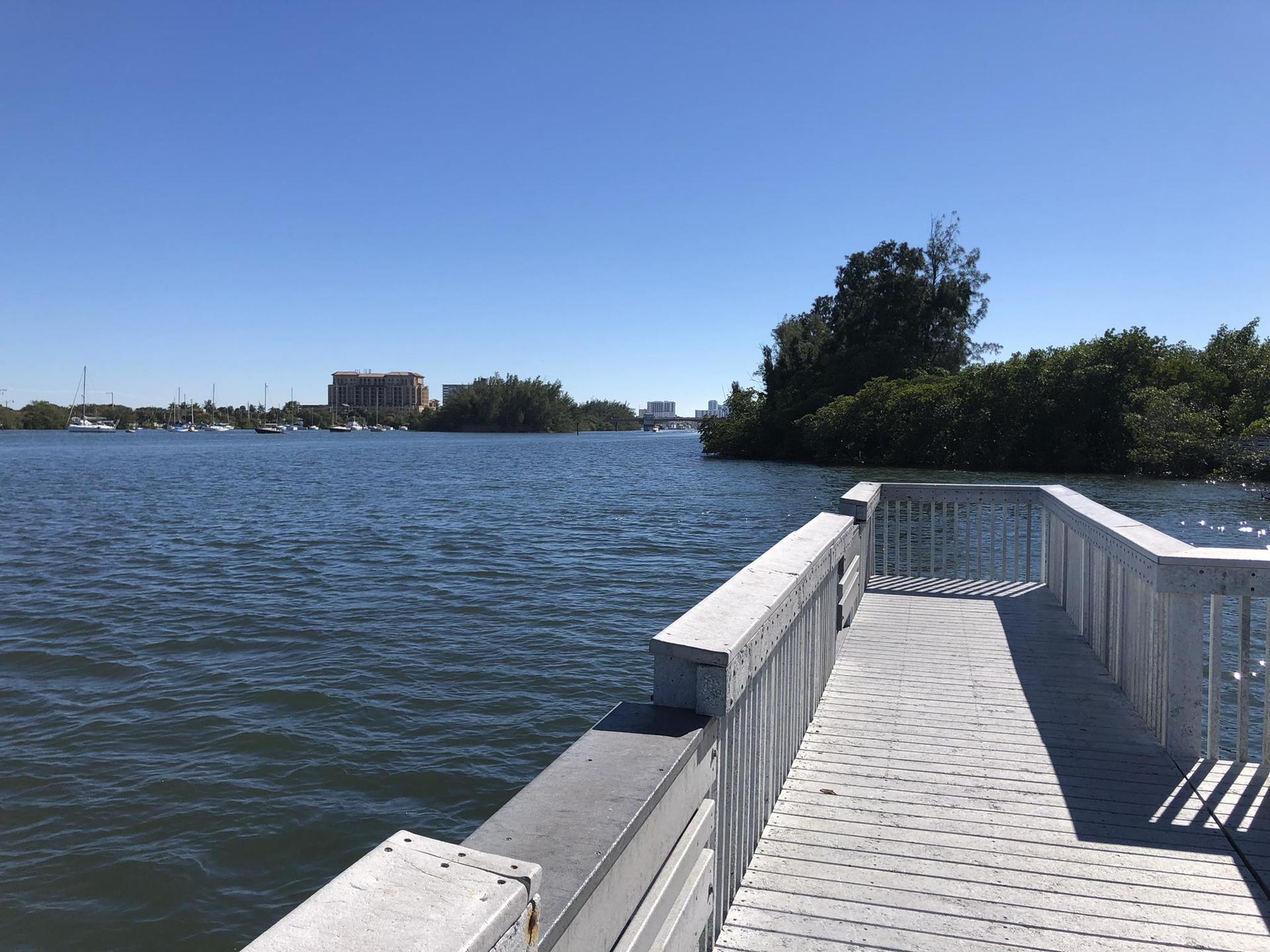 A wooden pier extends into wide water with distant buildings under a clear sky.