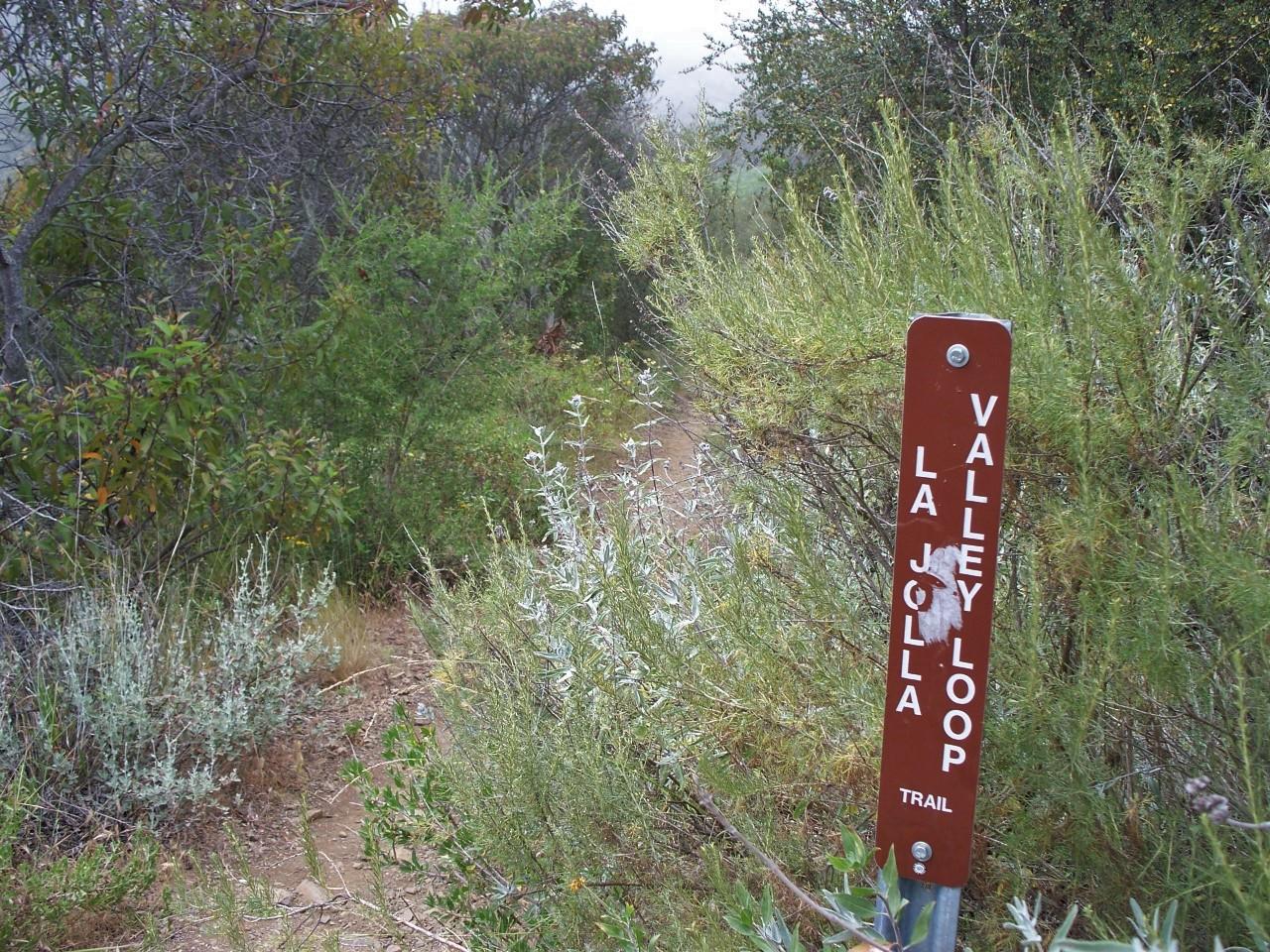 Brown trail sign marking a path through dense, green brush.