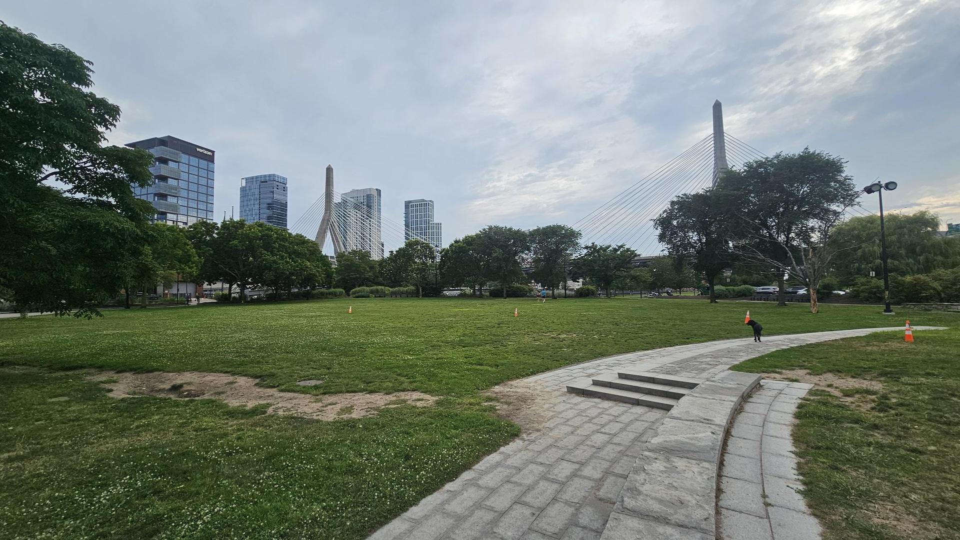 Grassy park with a paved path leading to a distant city skyline.