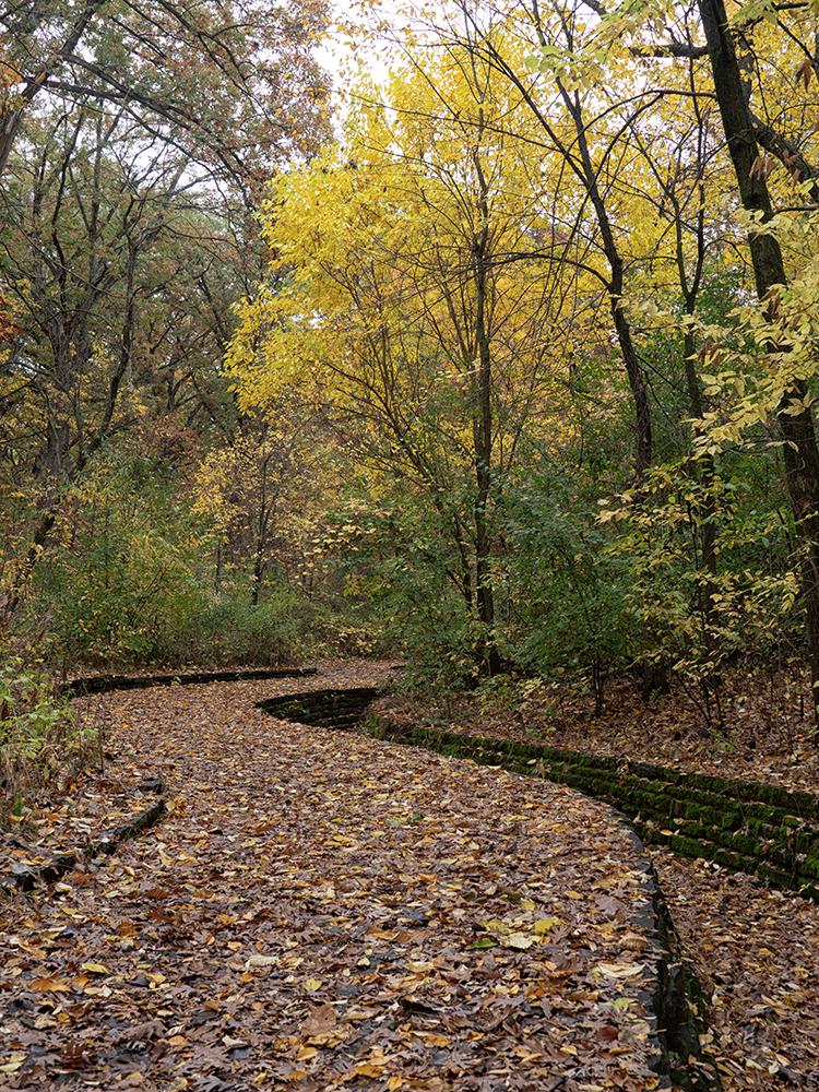Forest path covered in autumn leaves, bordered by low stone walls.