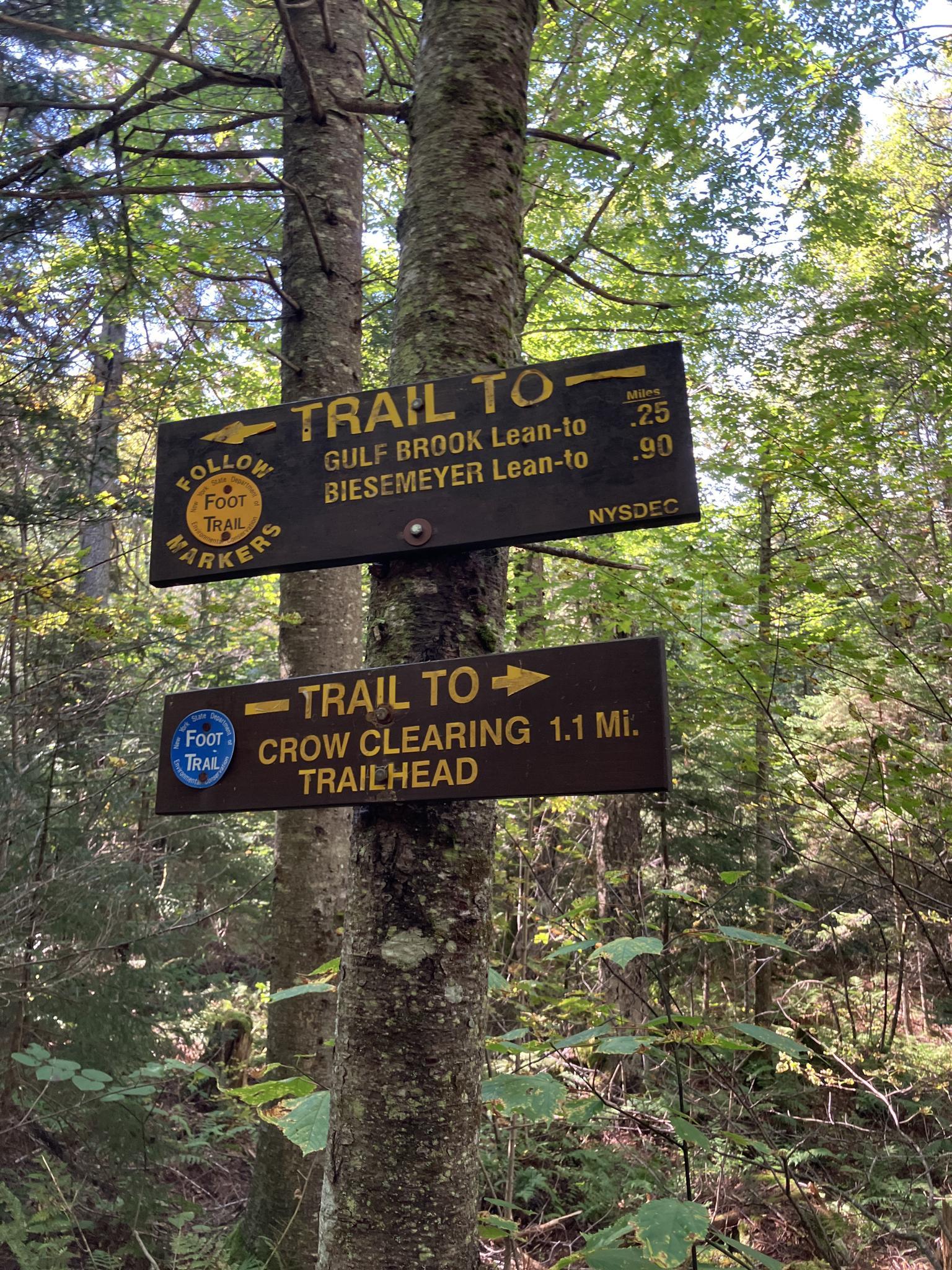 Two wooden trail signs attached to a tree in a sunlit forest.