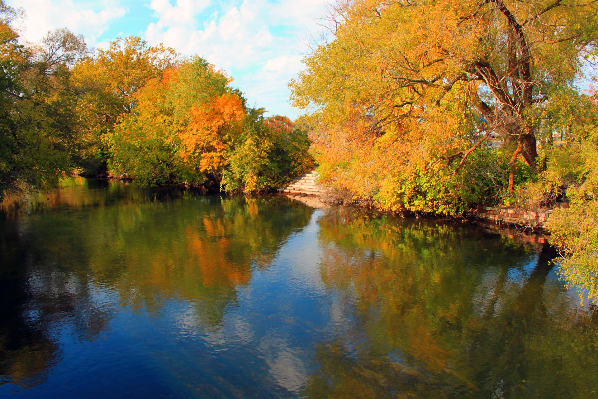 Vibrant autumn trees reflect in a bright river under a blue sky.