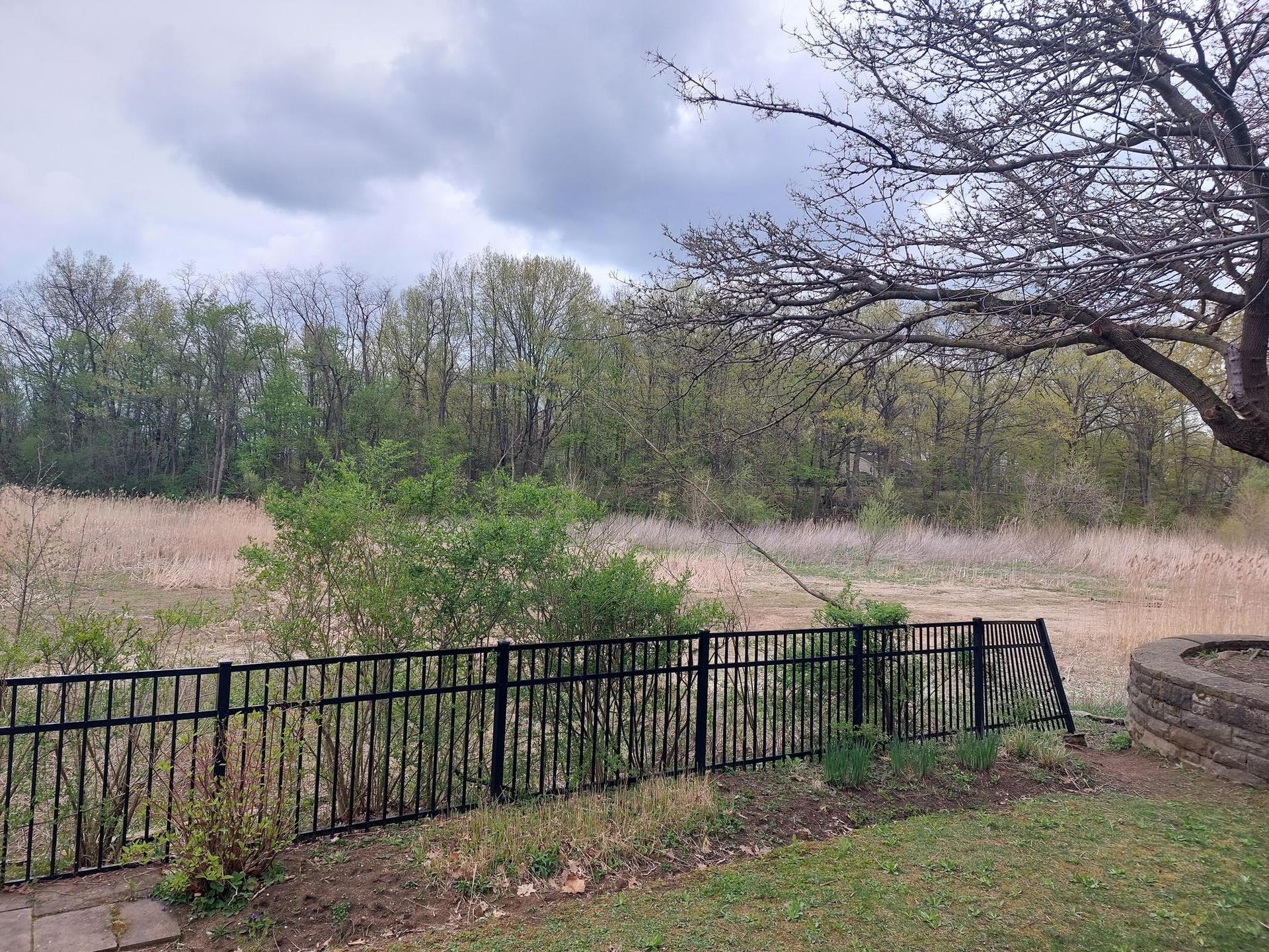Black fence overlooks a field and forest under an overcast sky.