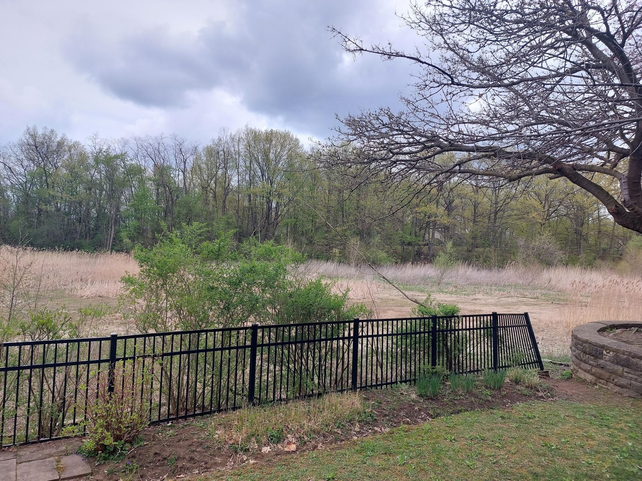 Black fence overlooks a field and forest under an overcast sky. - Lower Shaker Lake and Horseshoe Lake Loop