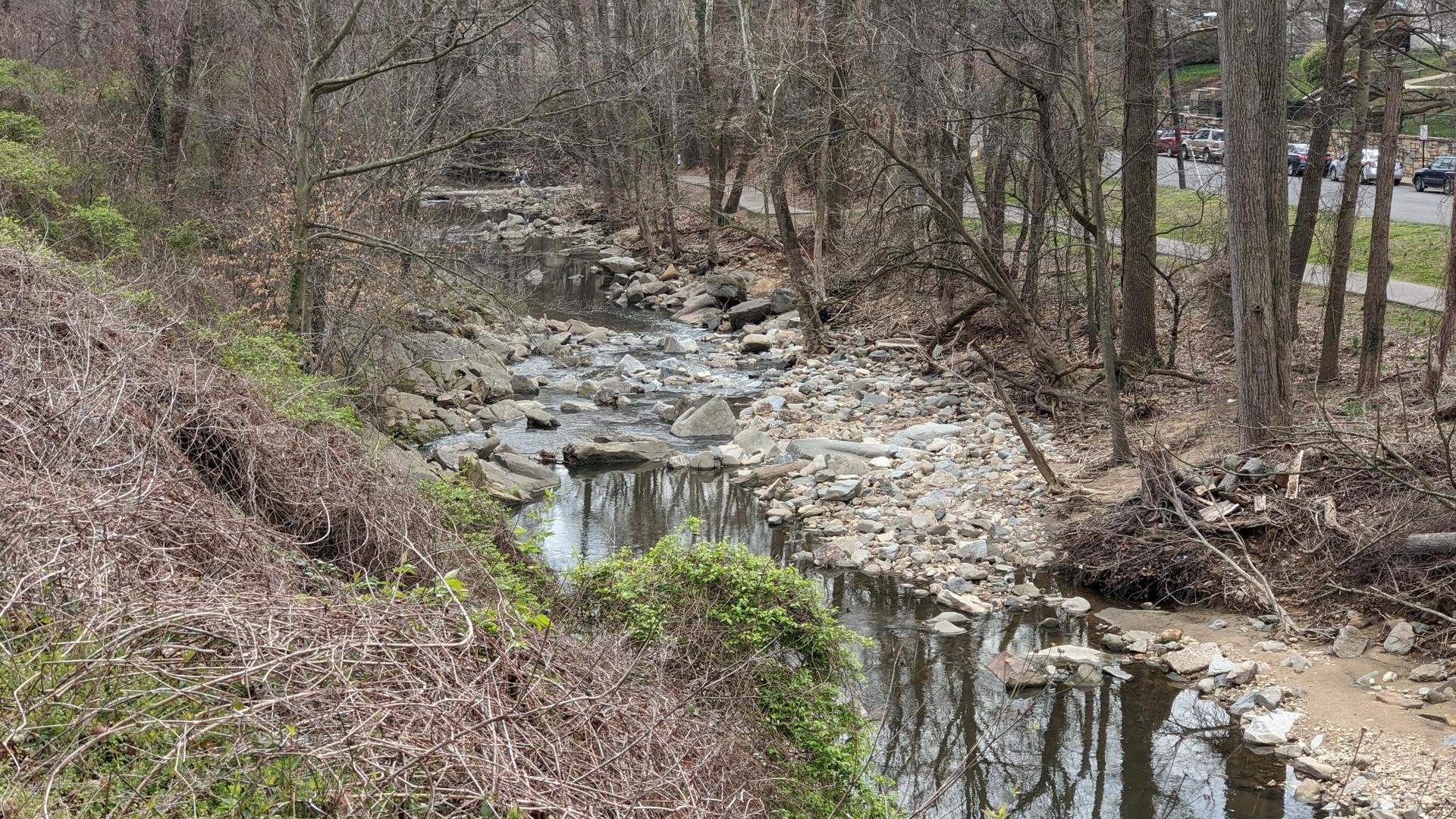 Rocky stream flowing through a bare forest with a distant road.