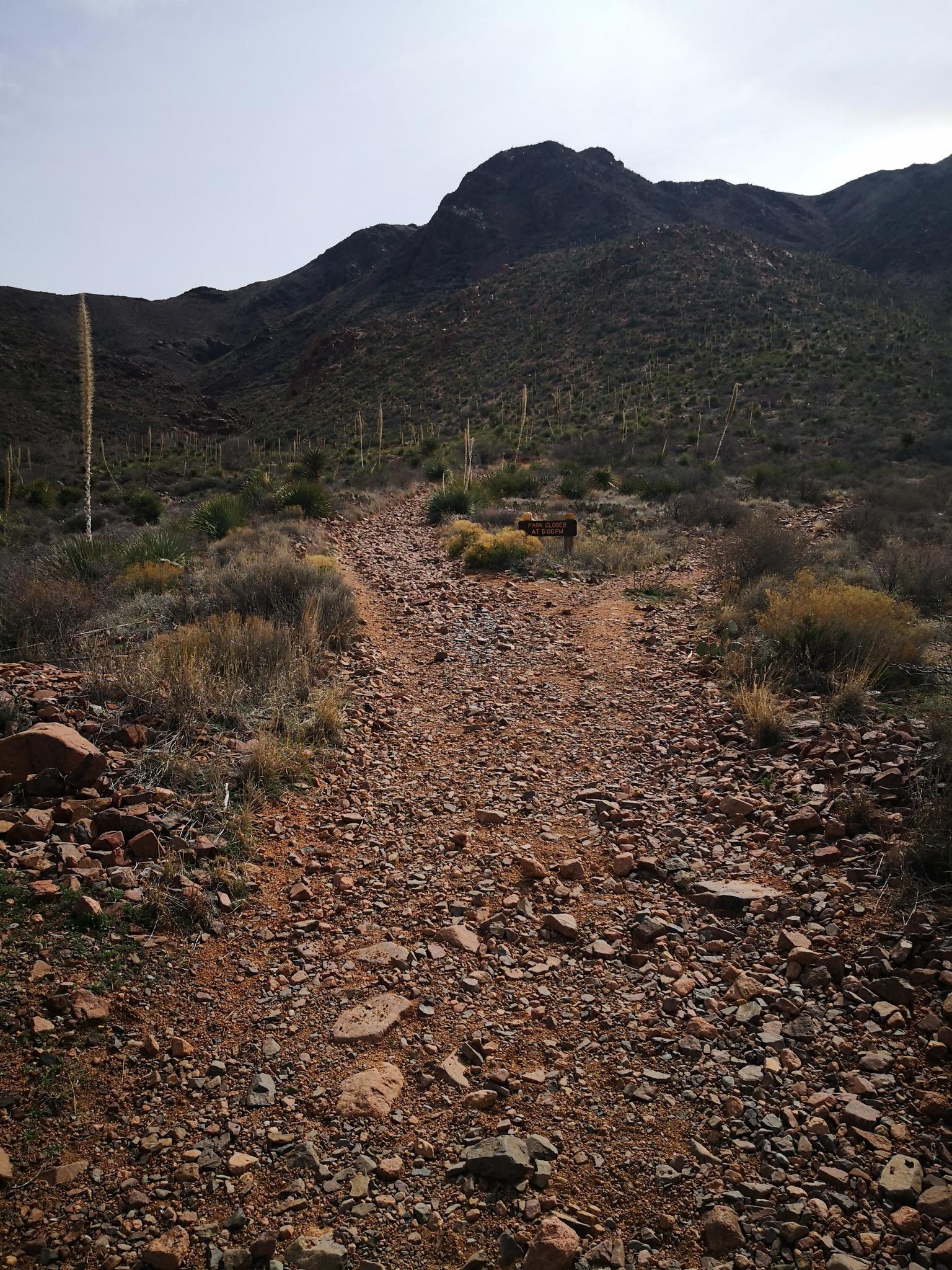 A rocky desert path leads to dark, scrub-covered mountains under a bright sky.