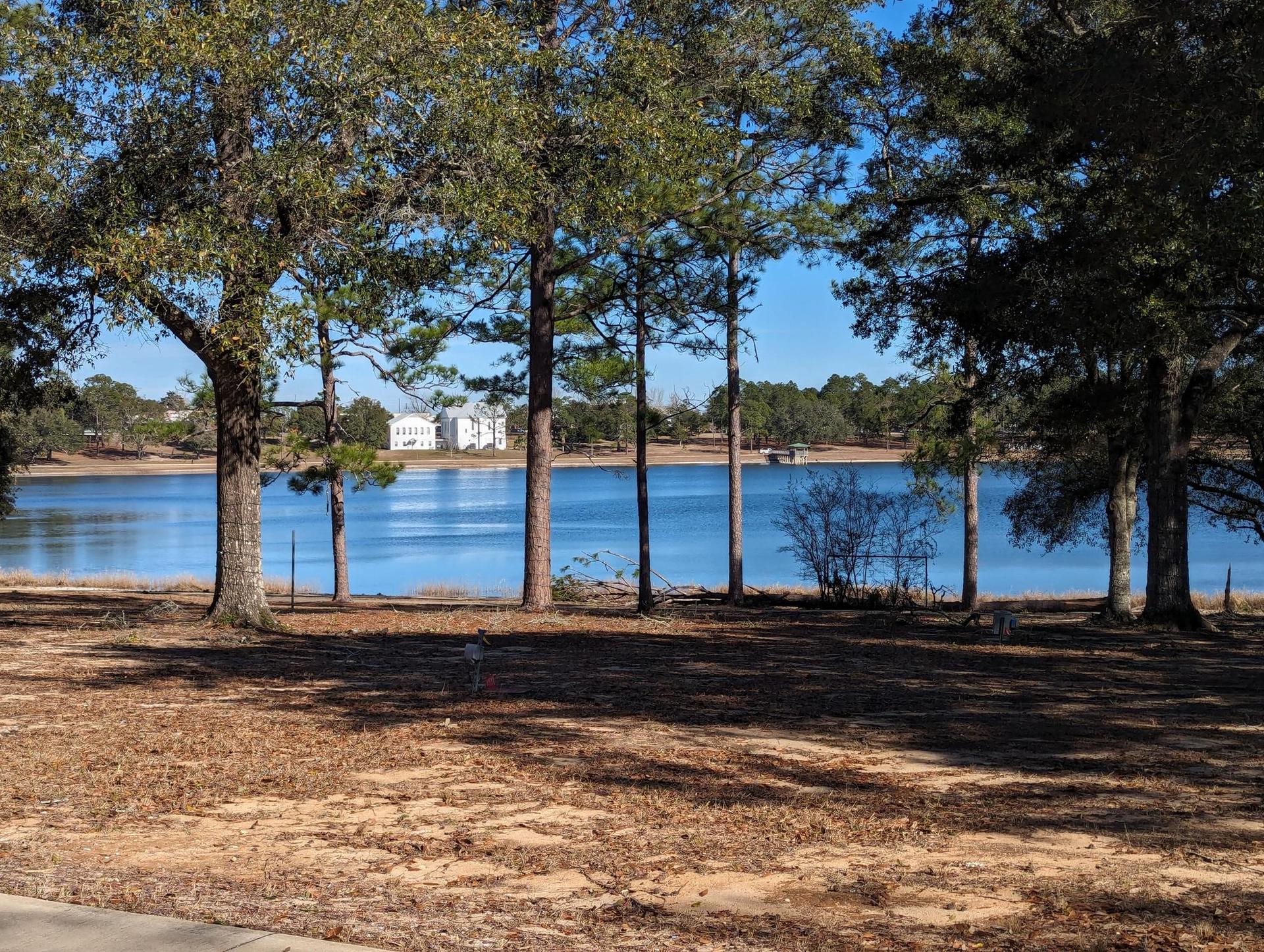 Sunny lake view through trees with distant white buildings.