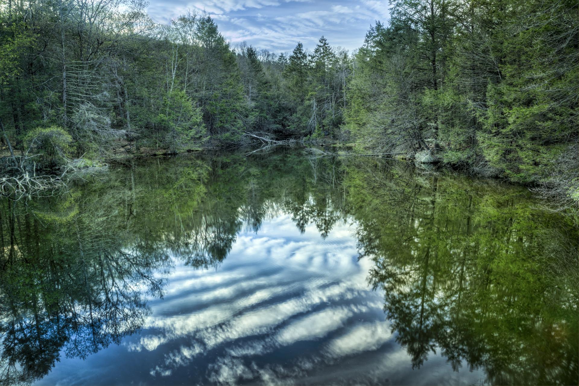 Calm lake reflecting dense green forest and cloudy sky.