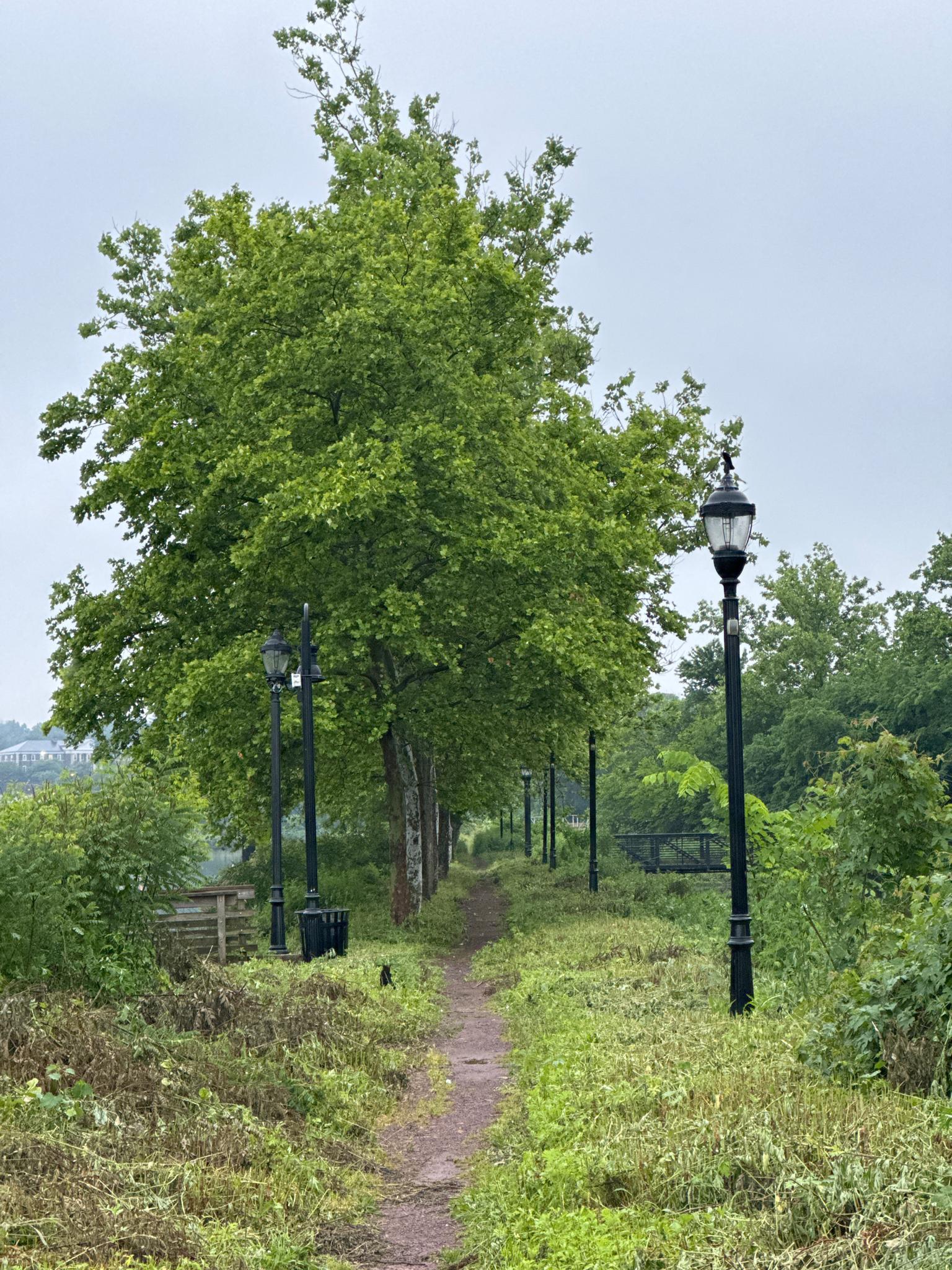 Narrow dirt path lined with trees and black lampposts under an overcast sky.