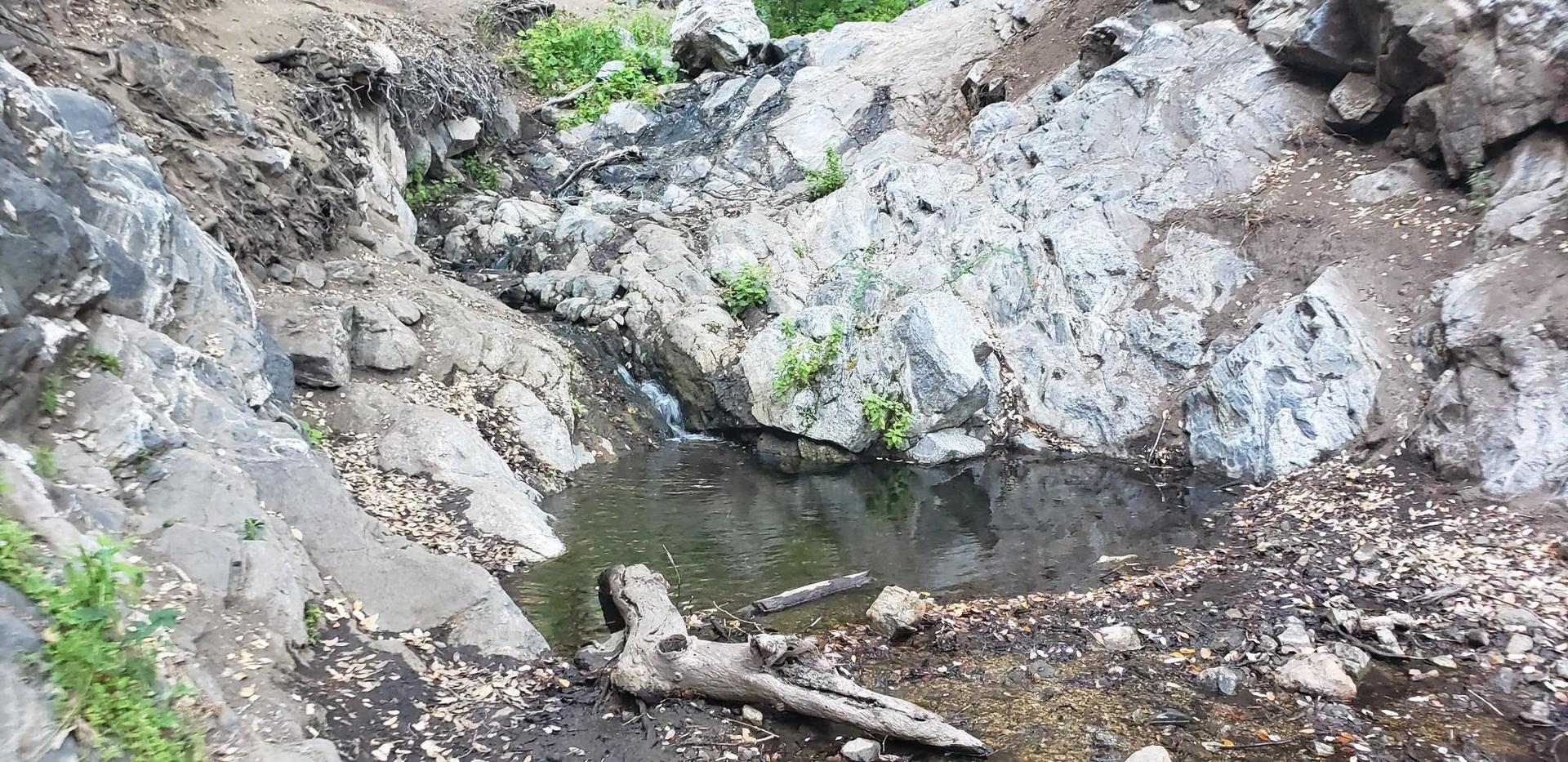 Small pool of water in a rocky grotto with a fallen log.