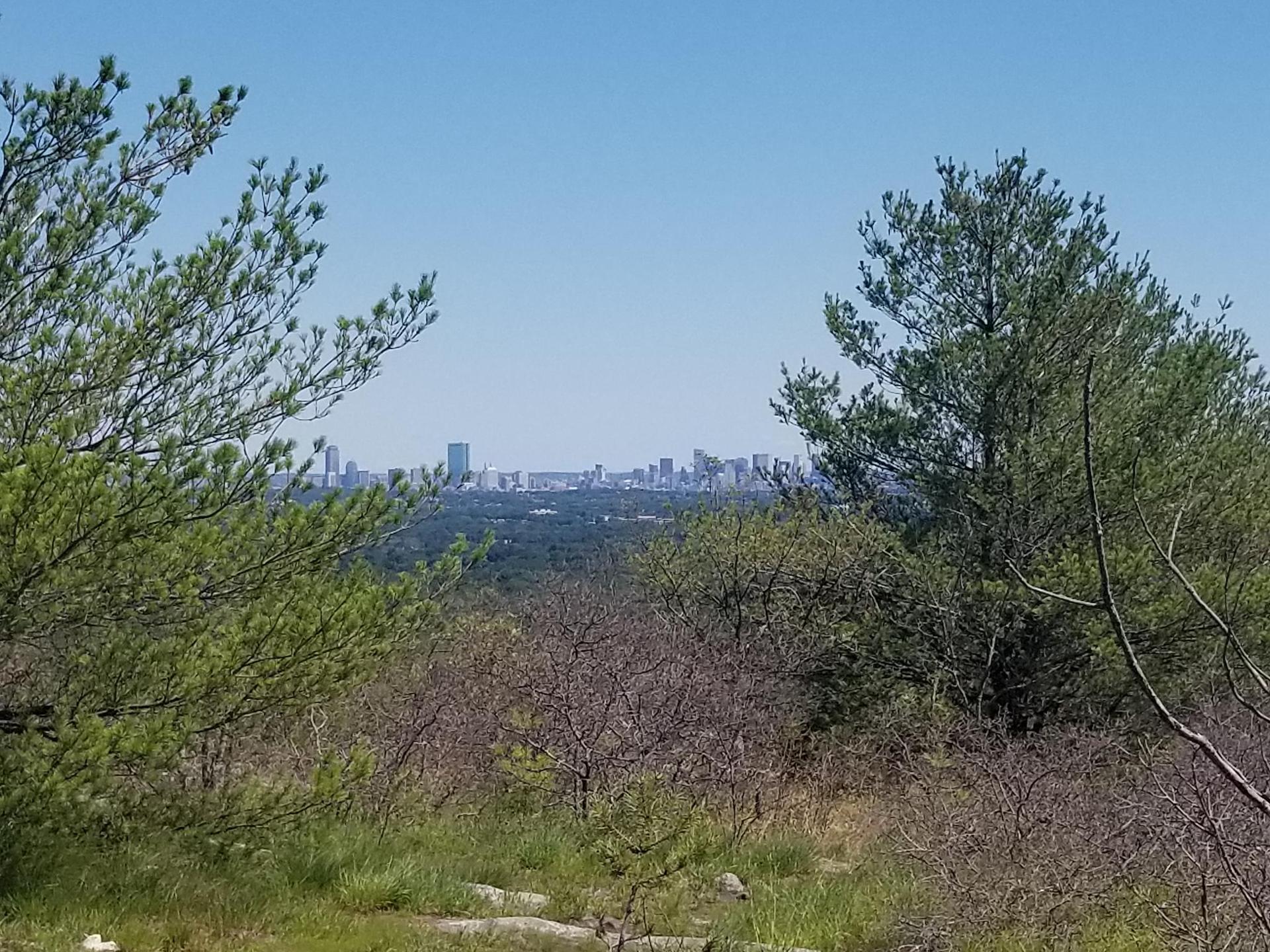 Distant city skyline visible through green trees on a bright, clear day.