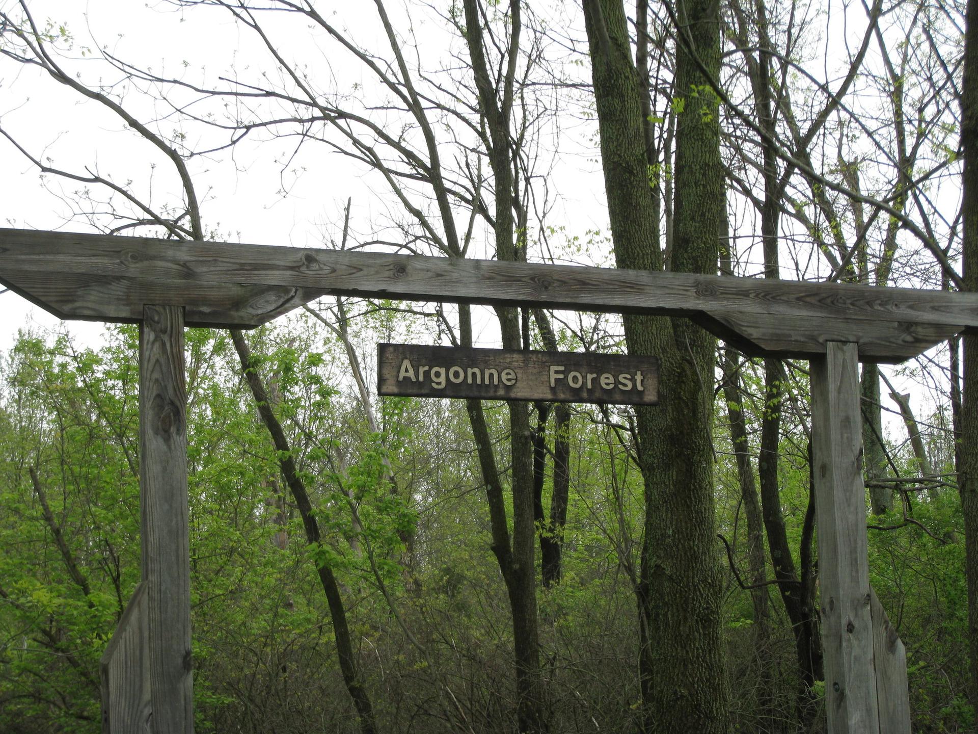 Wooden archway with a sign, framed by trees under an overcast sky.