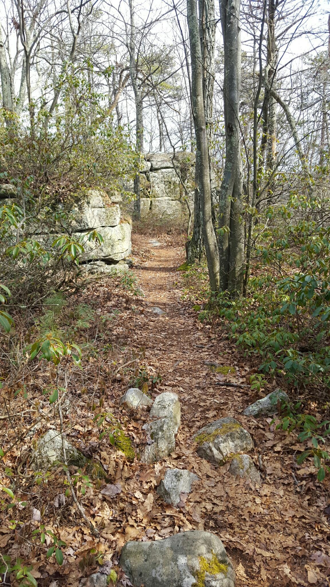 A narrow, leaf-covered forest path winds between large rocks and trees.