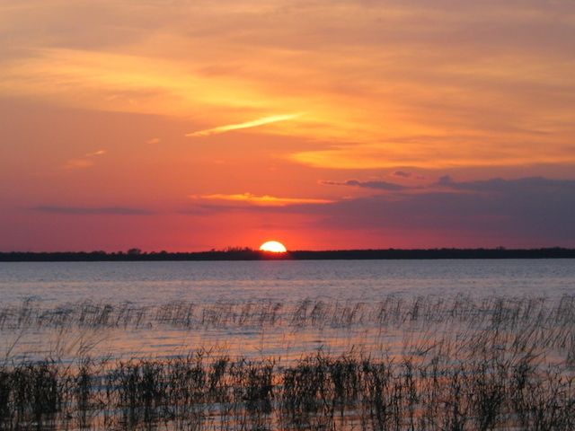 Orange and red sunset over water, with reeds in the foreground. - Quail Loop Trail