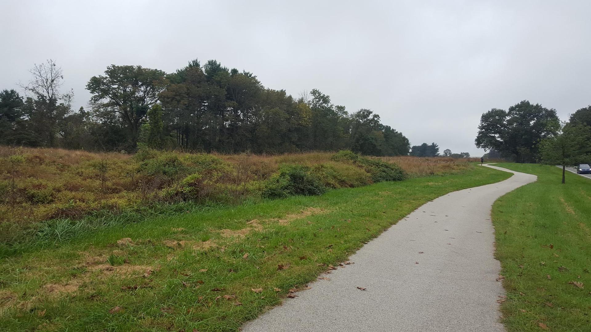 Winding paved path through grassy fields with distant trees, overcast sky.