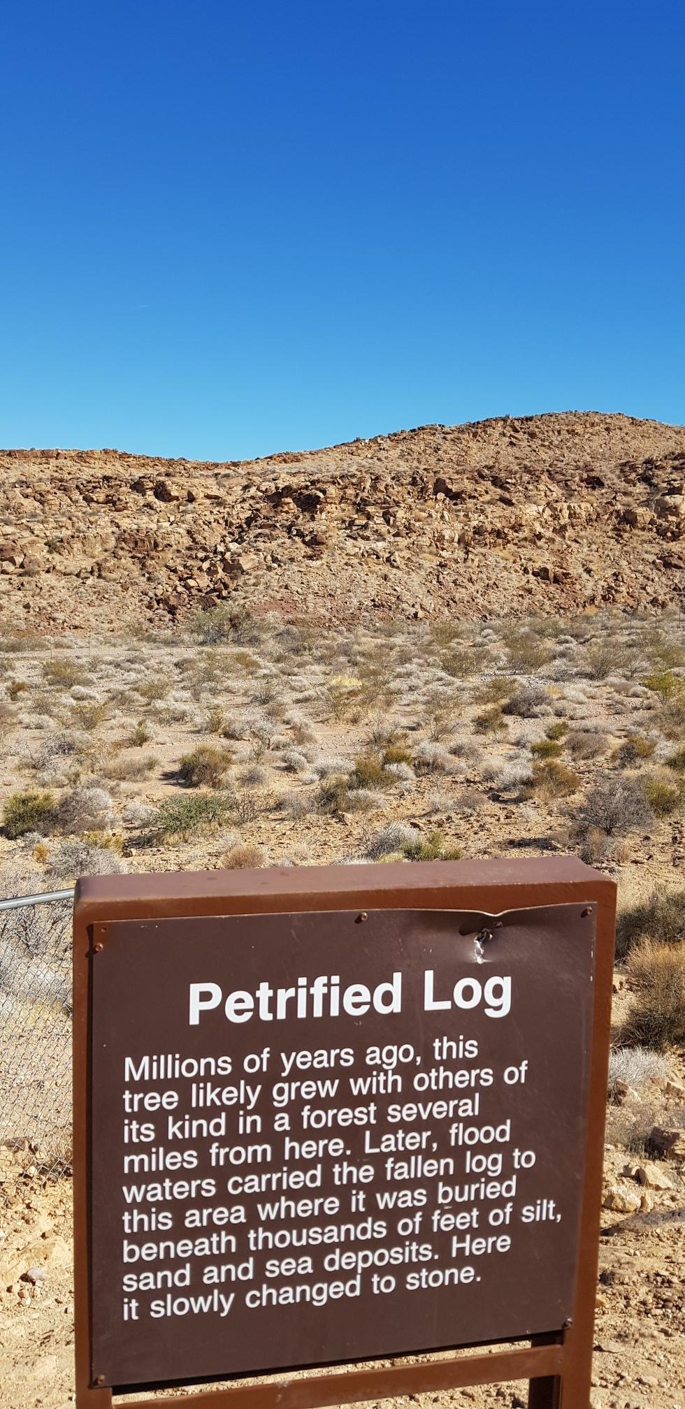 A brown sign about a petrified log in a desert landscape.