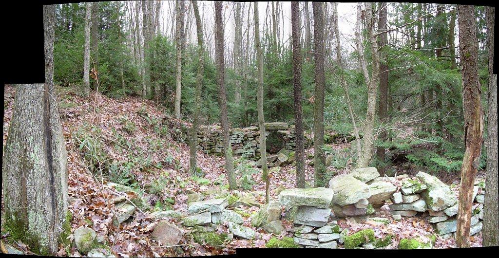 Ancient stone walls and ruins in a dense, leaf-covered forest under overcast light.