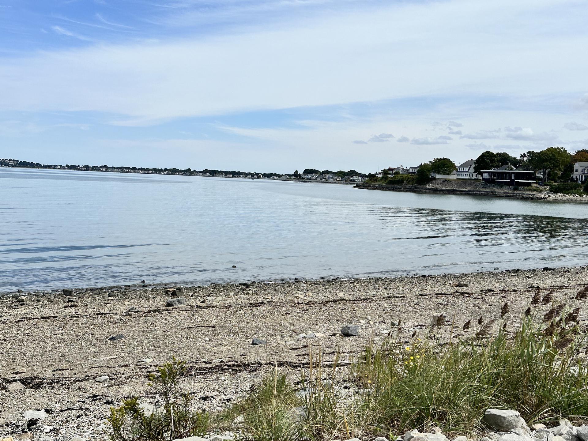 Sunny day at a rocky beach with calm water and distant houses.