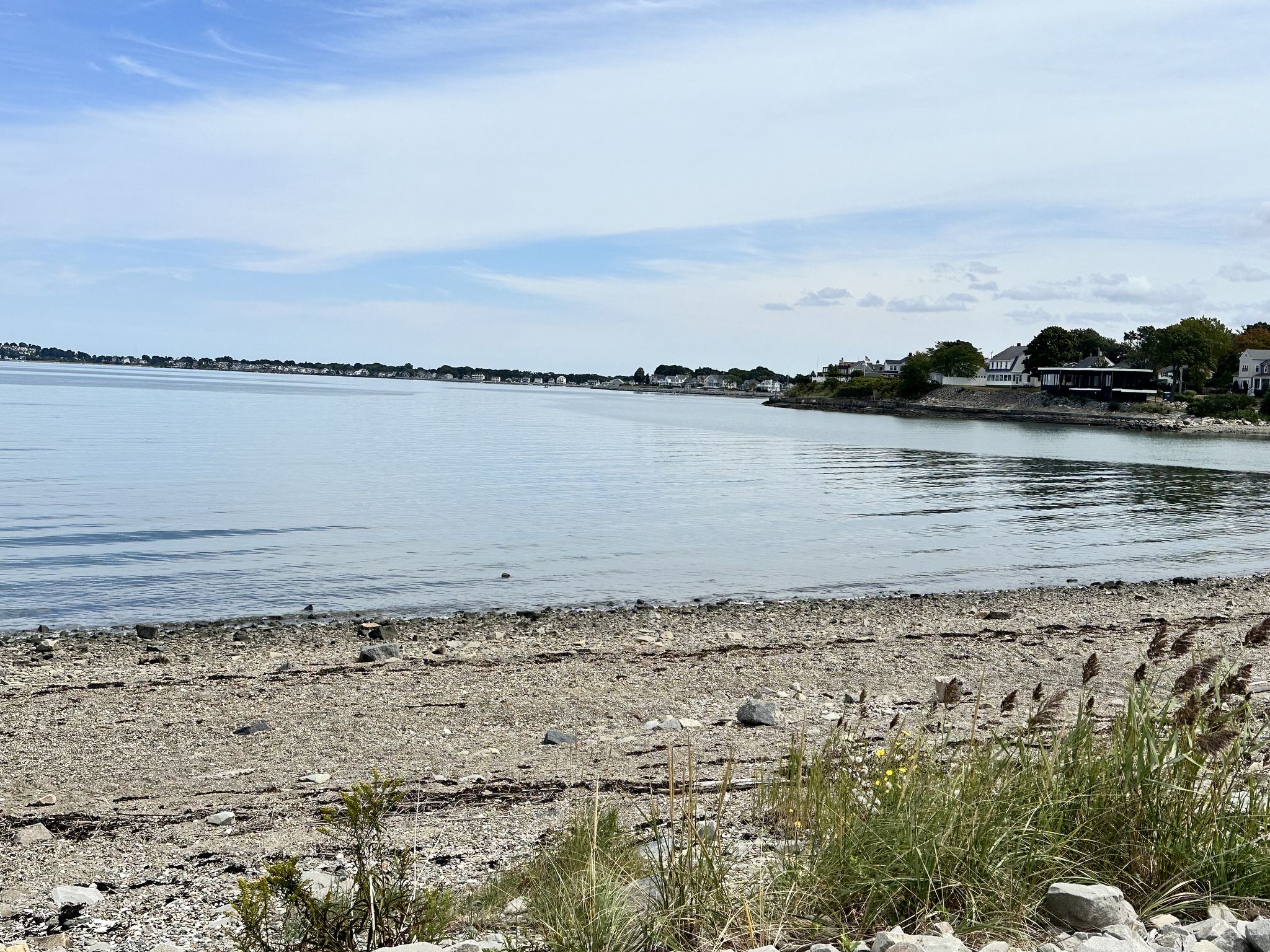 Sunny day at a rocky beach with calm water and distant houses. - Quincy Shores Reservation Trail