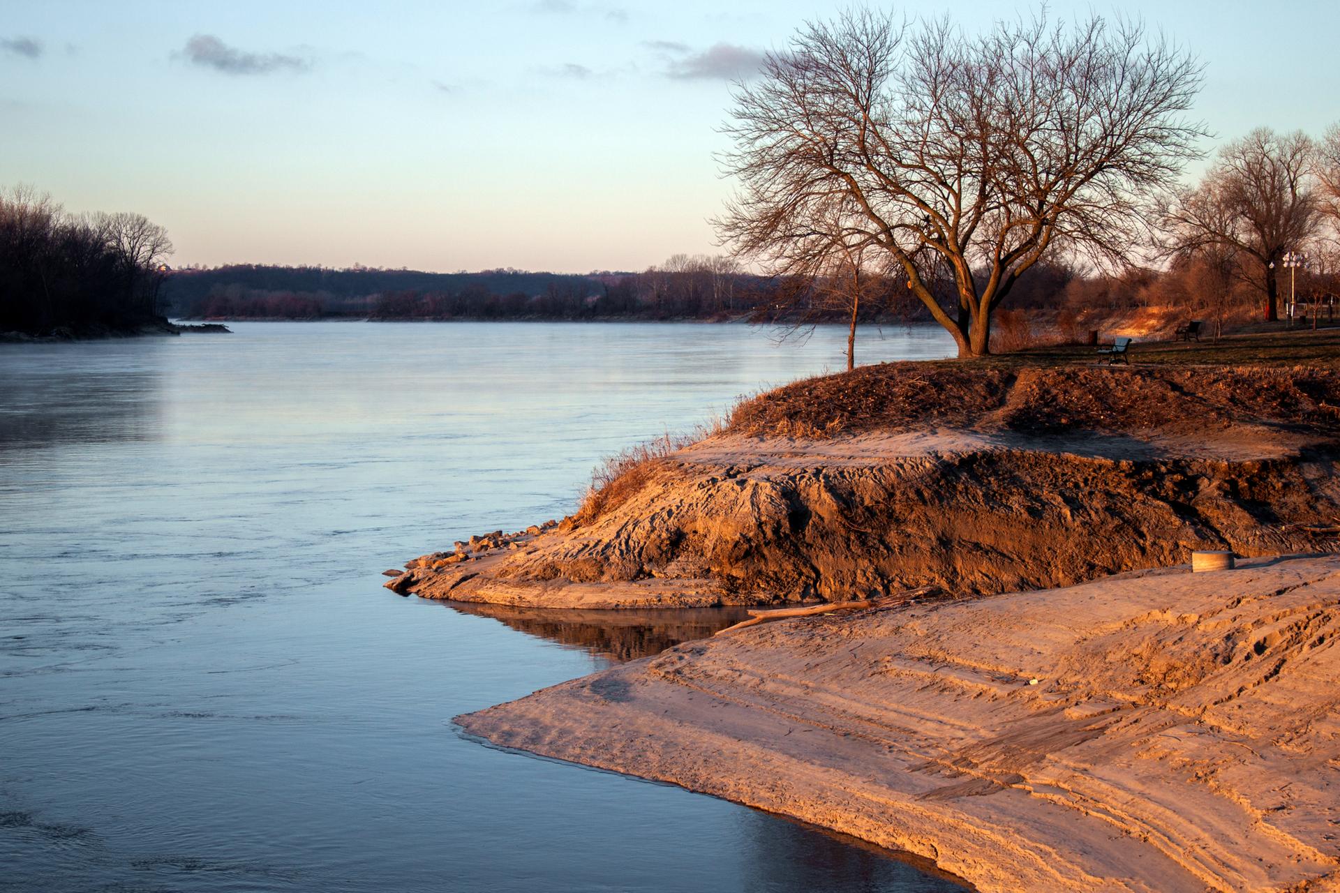 Warm light illuminates a wide river, sandy bank, and bare tree.
