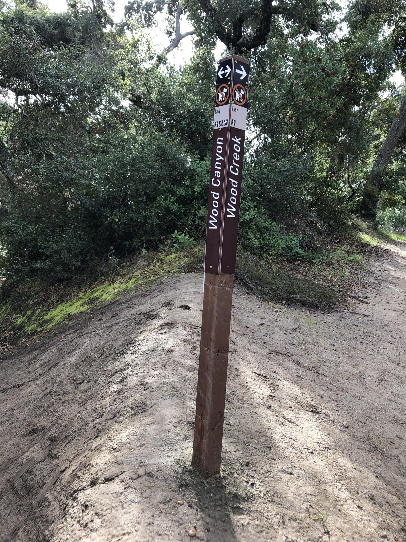 Brown trail signpost on a dirt path, surrounded by green trees.