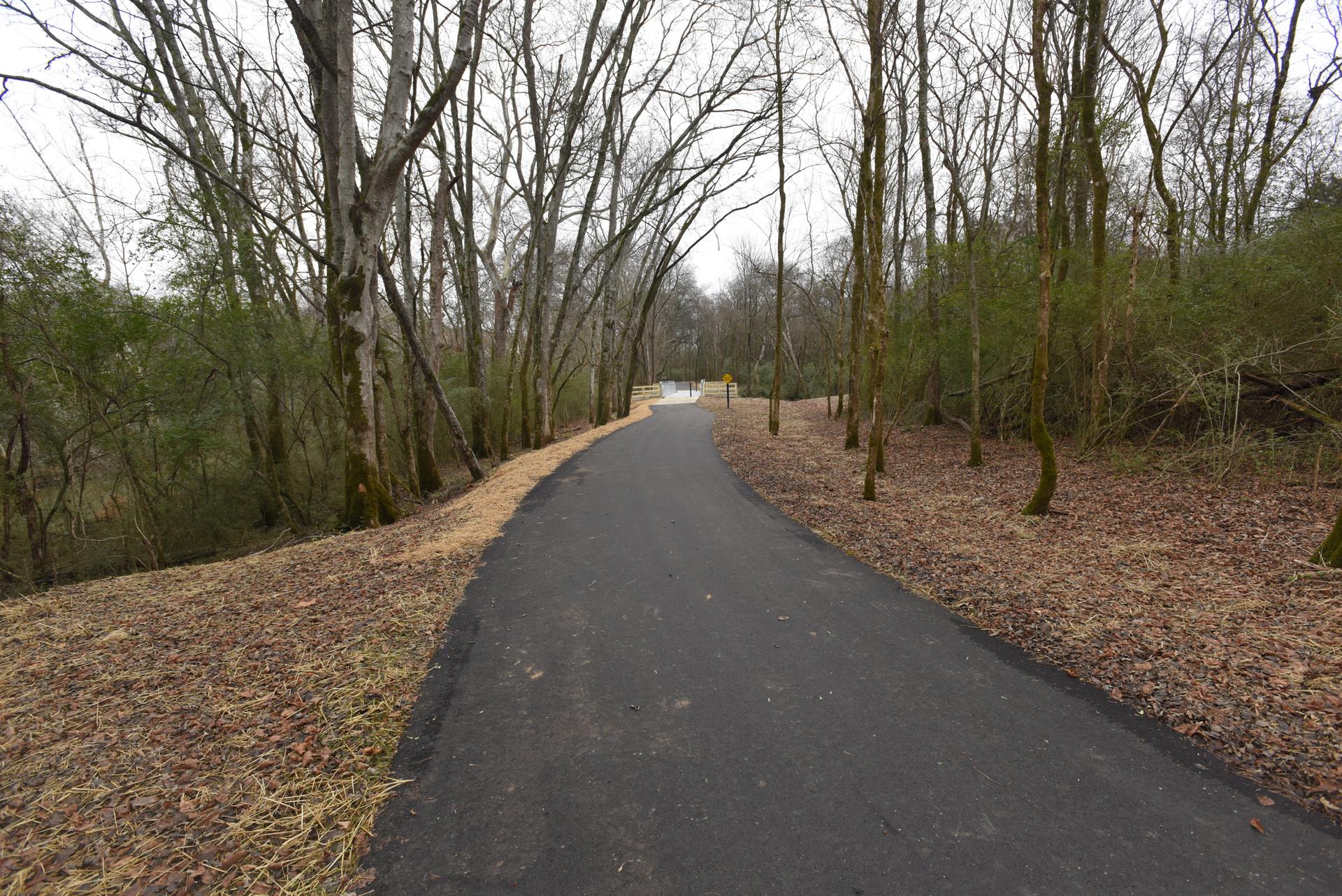 Paved path winding through a bare winter forest under an overcast sky.