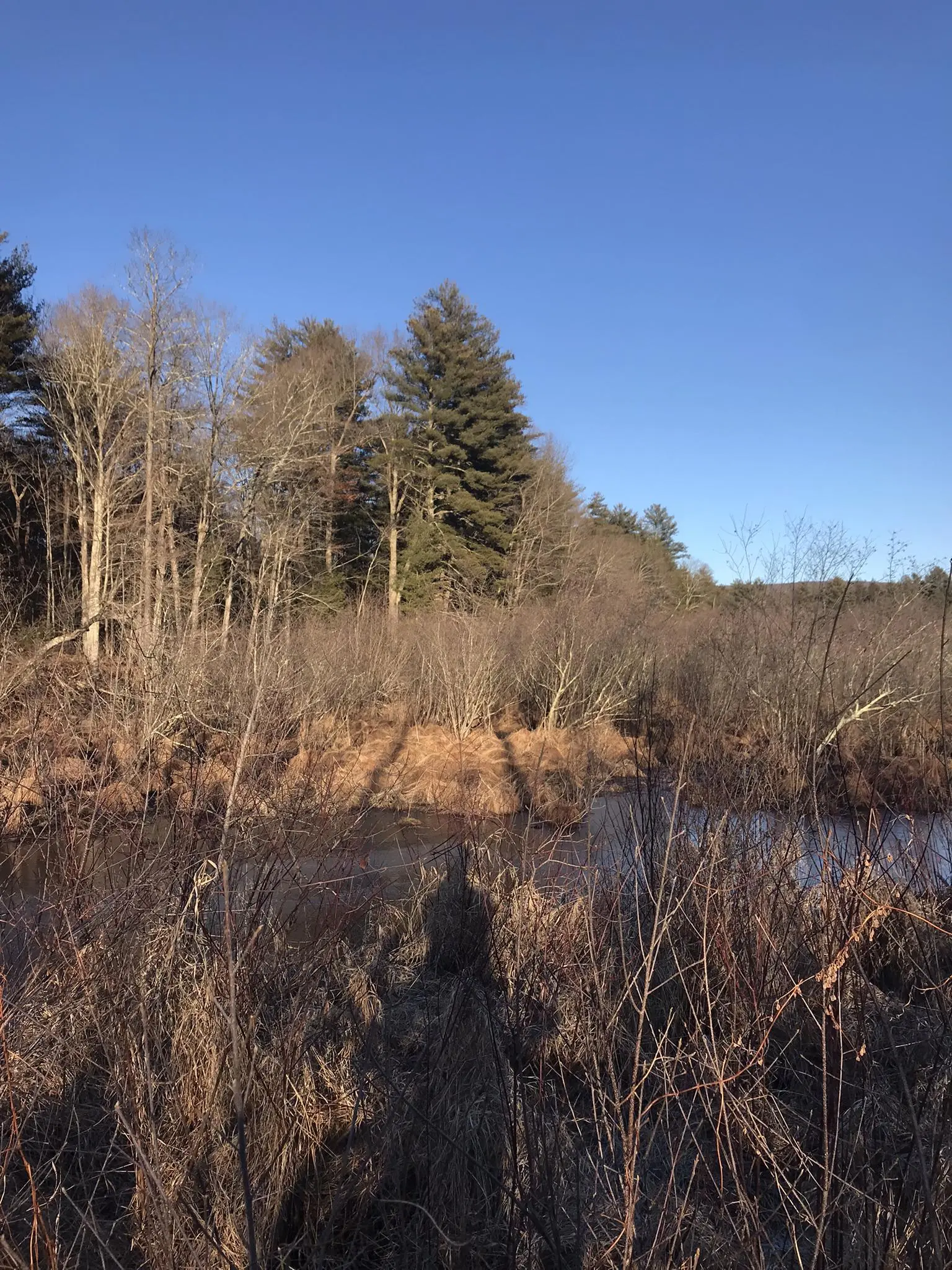 A narrow, partially frozen waterway surrounded by bare trees and dry grasses.