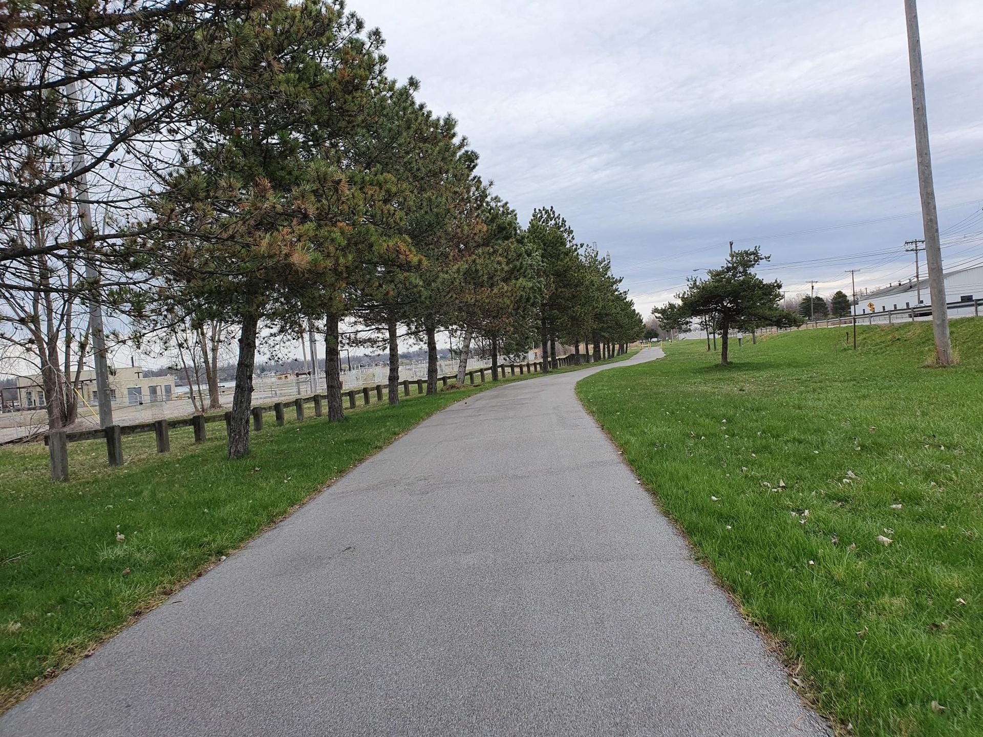 A paved path lined with pine trees and grass under a cloudy sky.