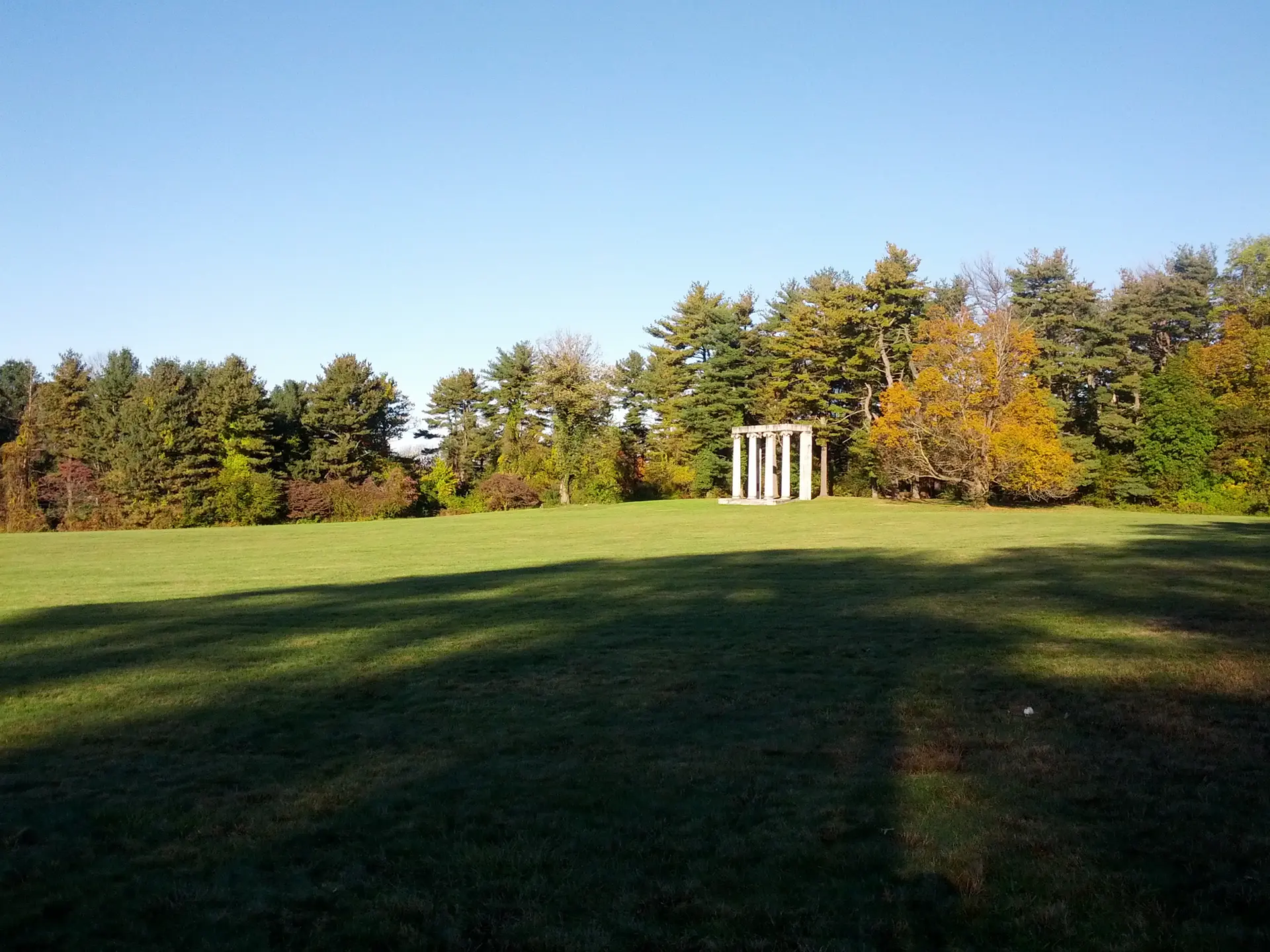 A sunny green field with a white structure near a dense forest.