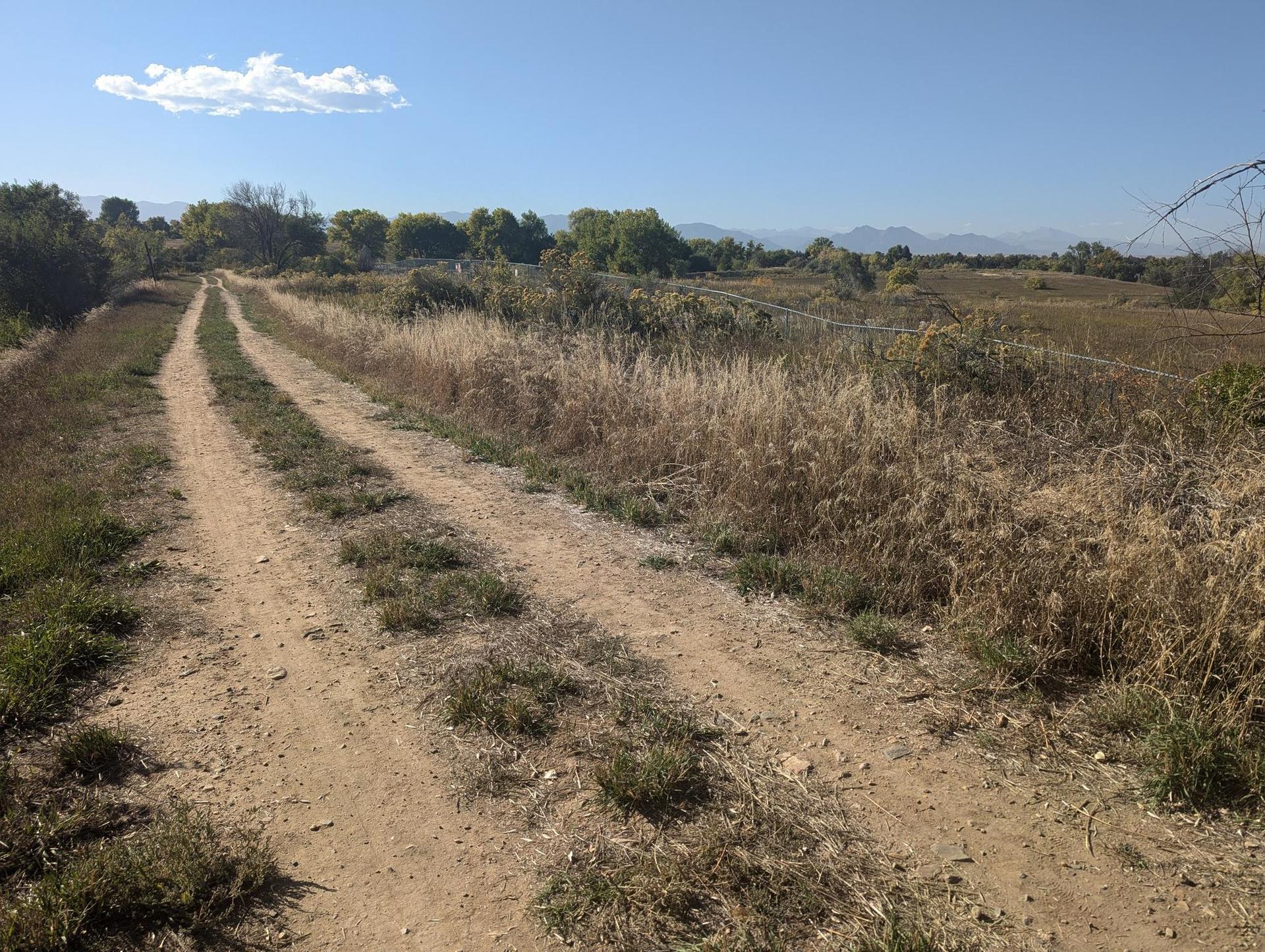A dirt road winds through a sunny, dry grassy field under a blue sky.