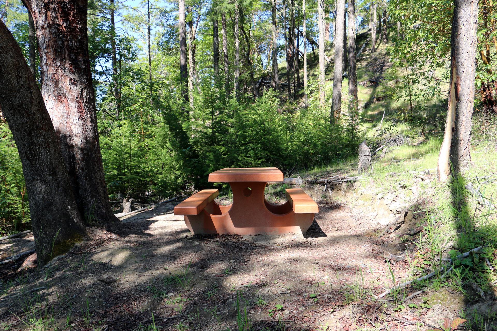 Sunny forest scene with a brown picnic table and tall trees.