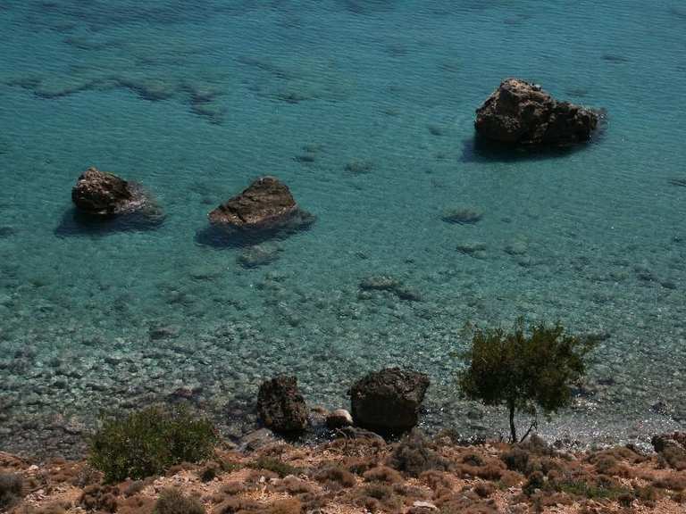 Carob tree Routes for Walking and Hiking | Komoot