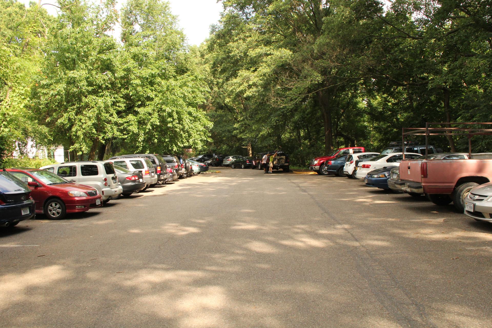 Outdoor parking lot full of cars under lush green trees on a sunny day.