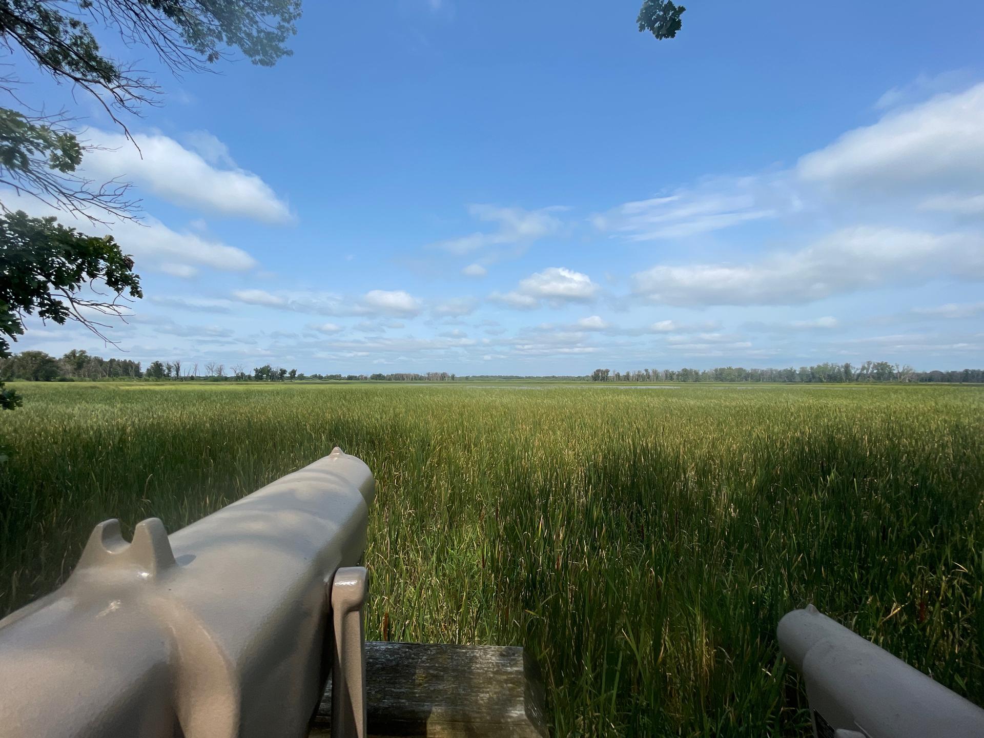 Binoculars overlooking a vast, bright green field under a sunny blue sky.