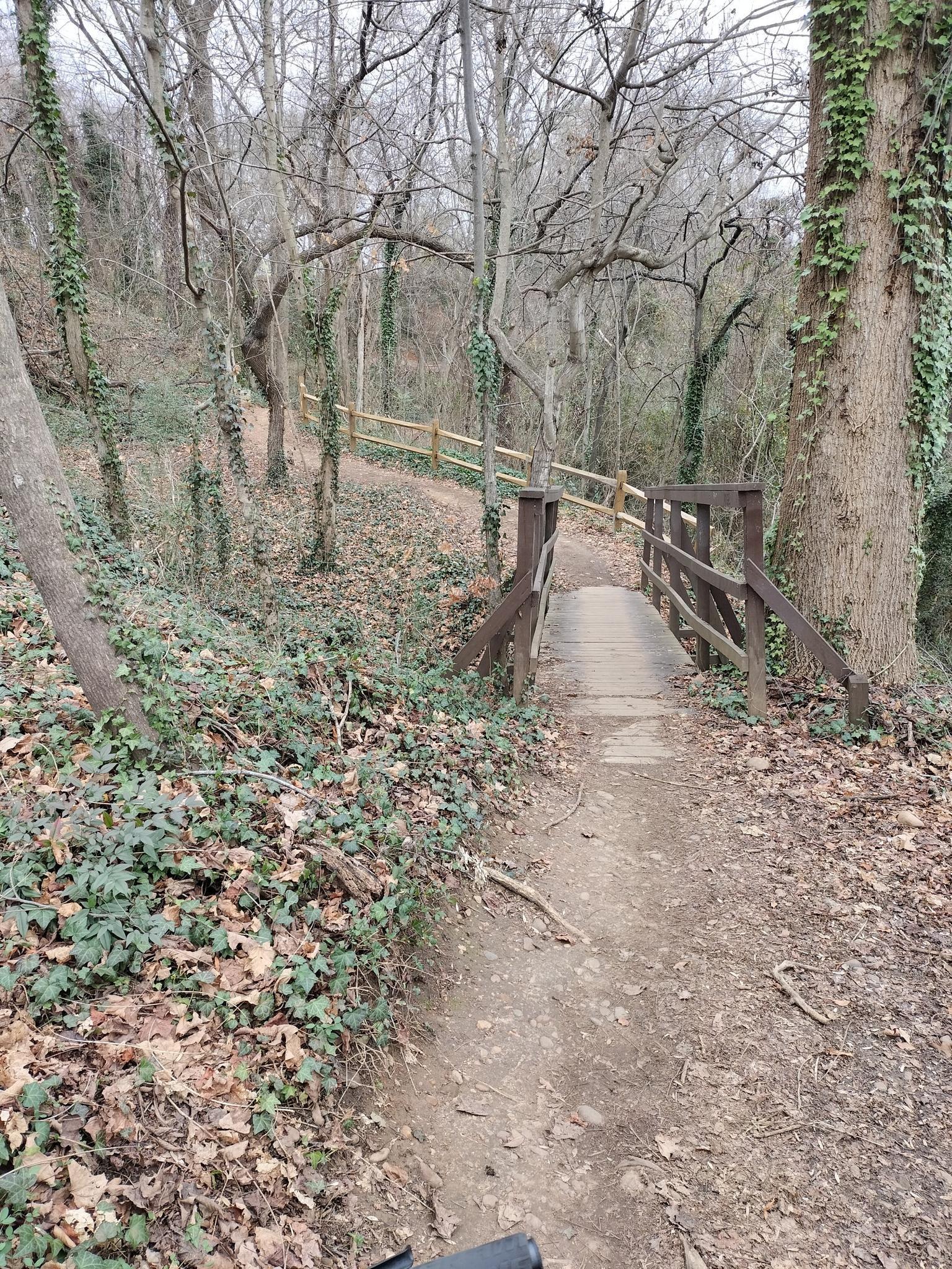Dirt path leads to a wooden footbridge in a forest with bare trees.