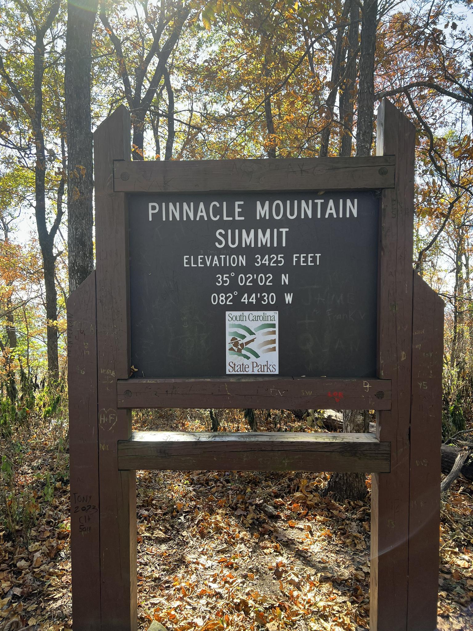 Sunlit wooden summit sign in an autumn forest with fallen leaves.