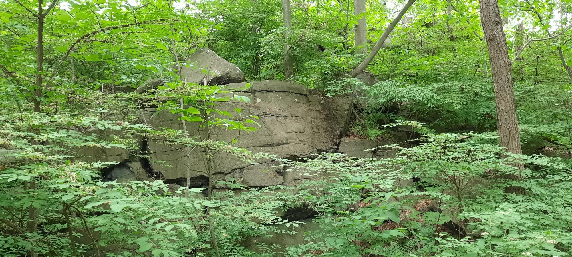 A large, rugged rock formation is surrounded by dense green forest foliage.