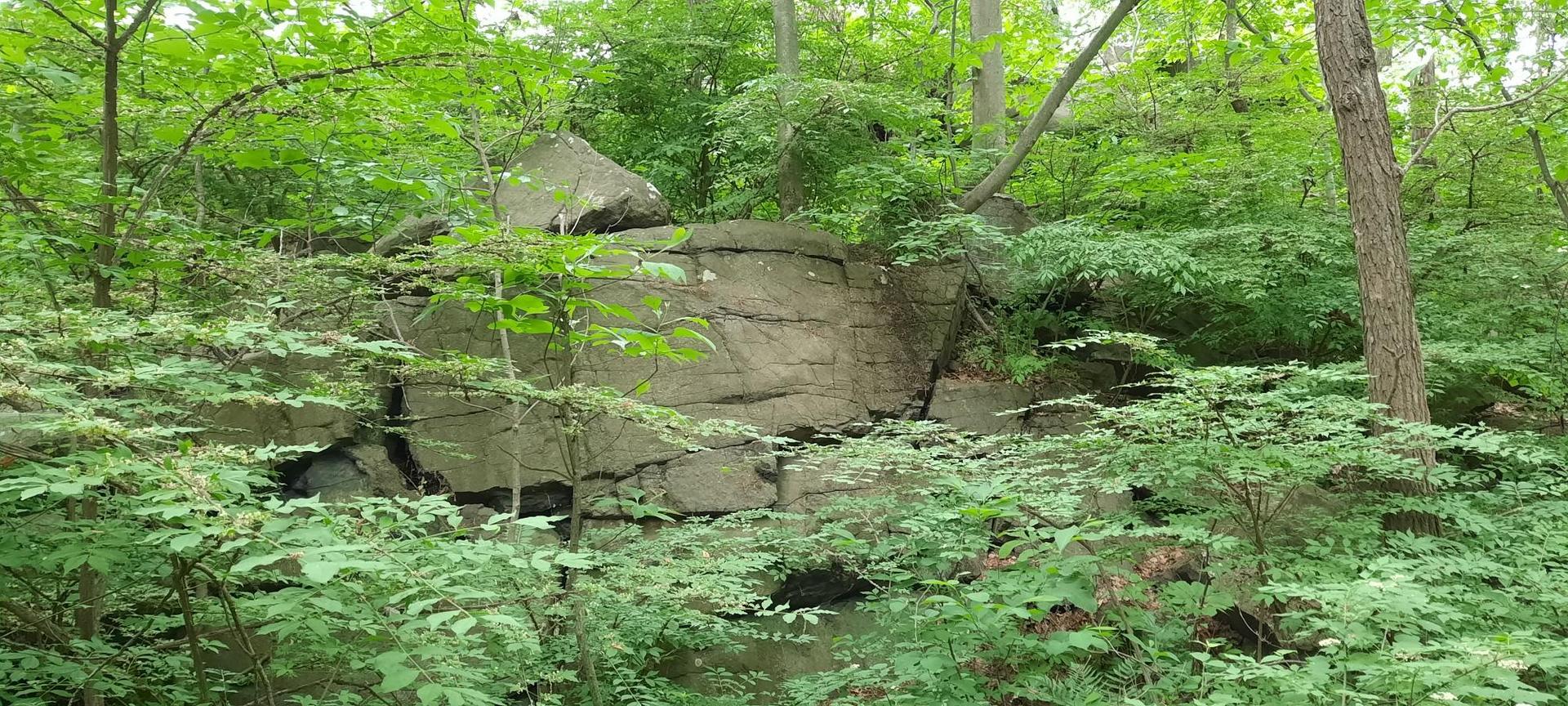 A large, rugged rock formation is surrounded by dense green forest foliage.