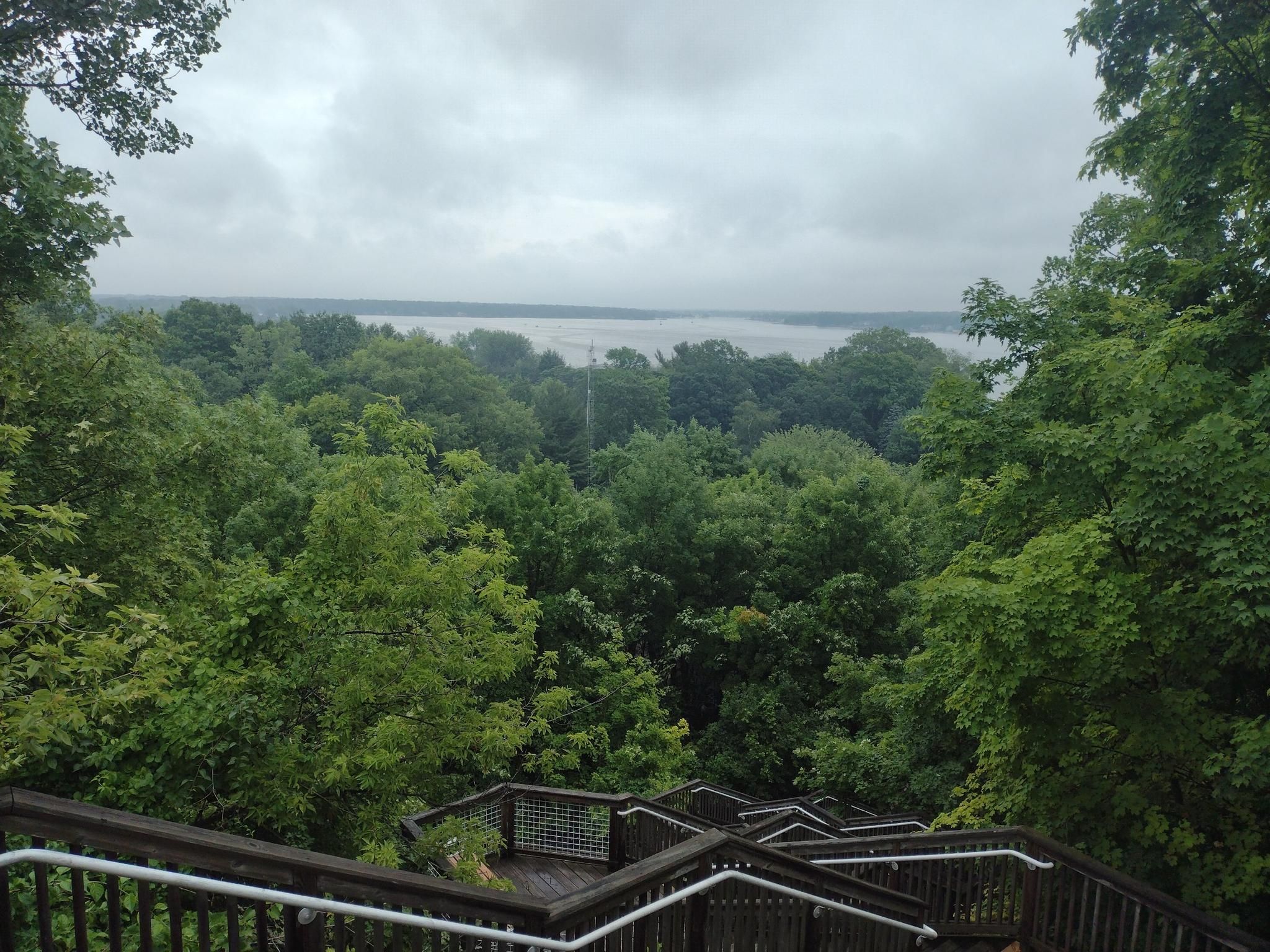 Wooden stairs descend through a dense green forest towards distant water. - Mount Pisgah Dune Boardwalk
