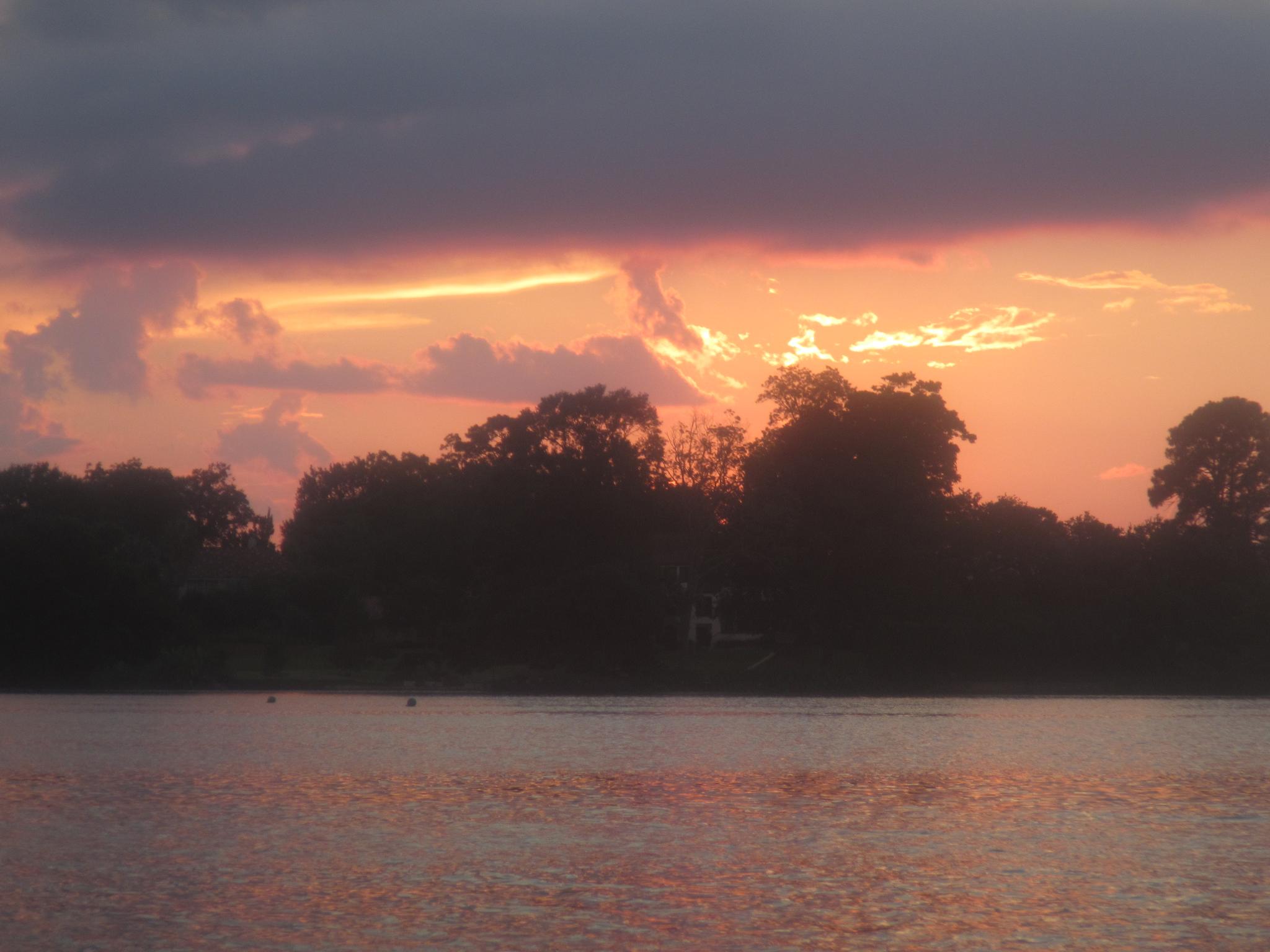 Vibrant sunset with golden and purple clouds over a calm lake and silhouetted trees.