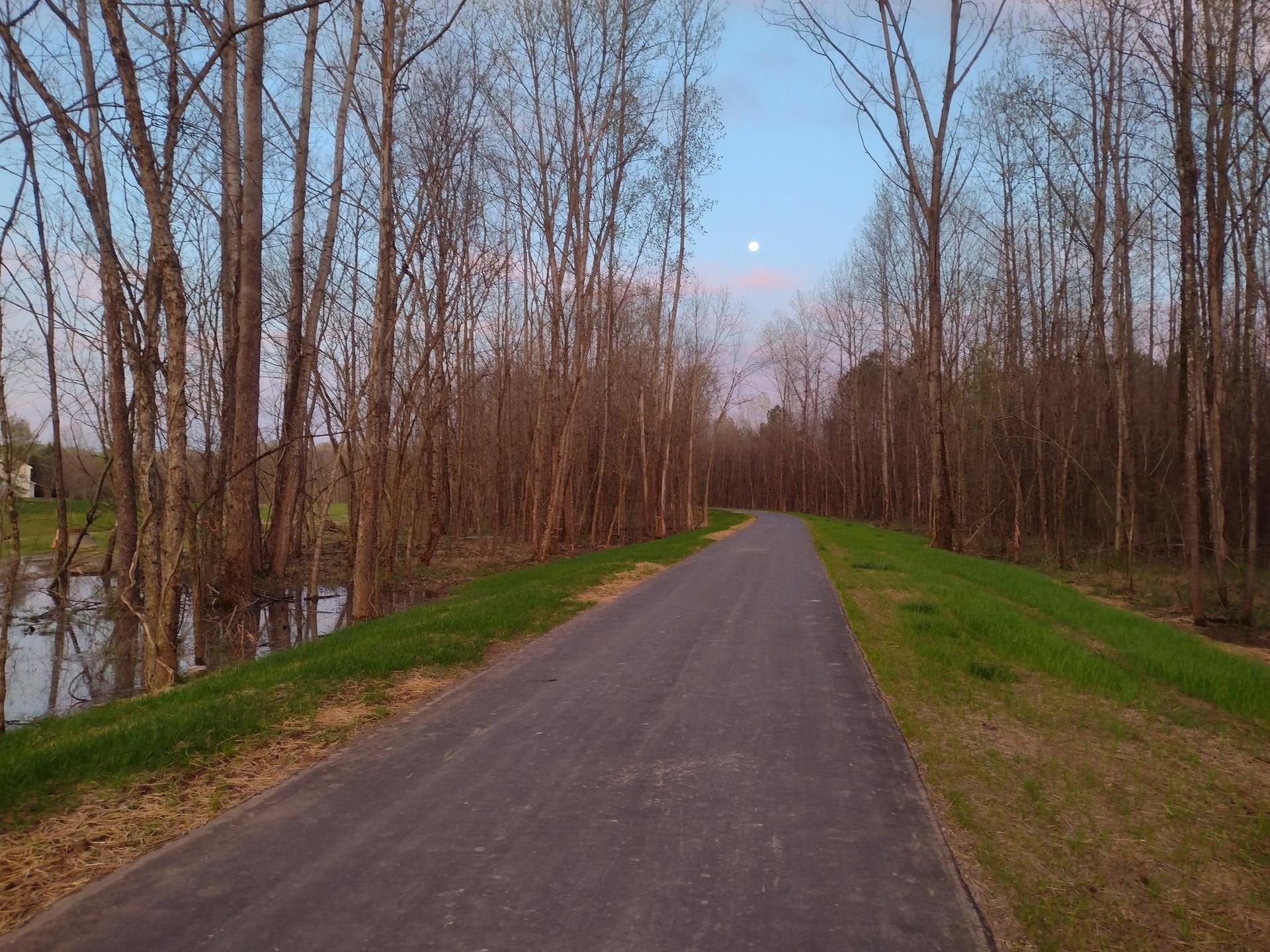 Paved path through bare trees at dusk with a moon and water.