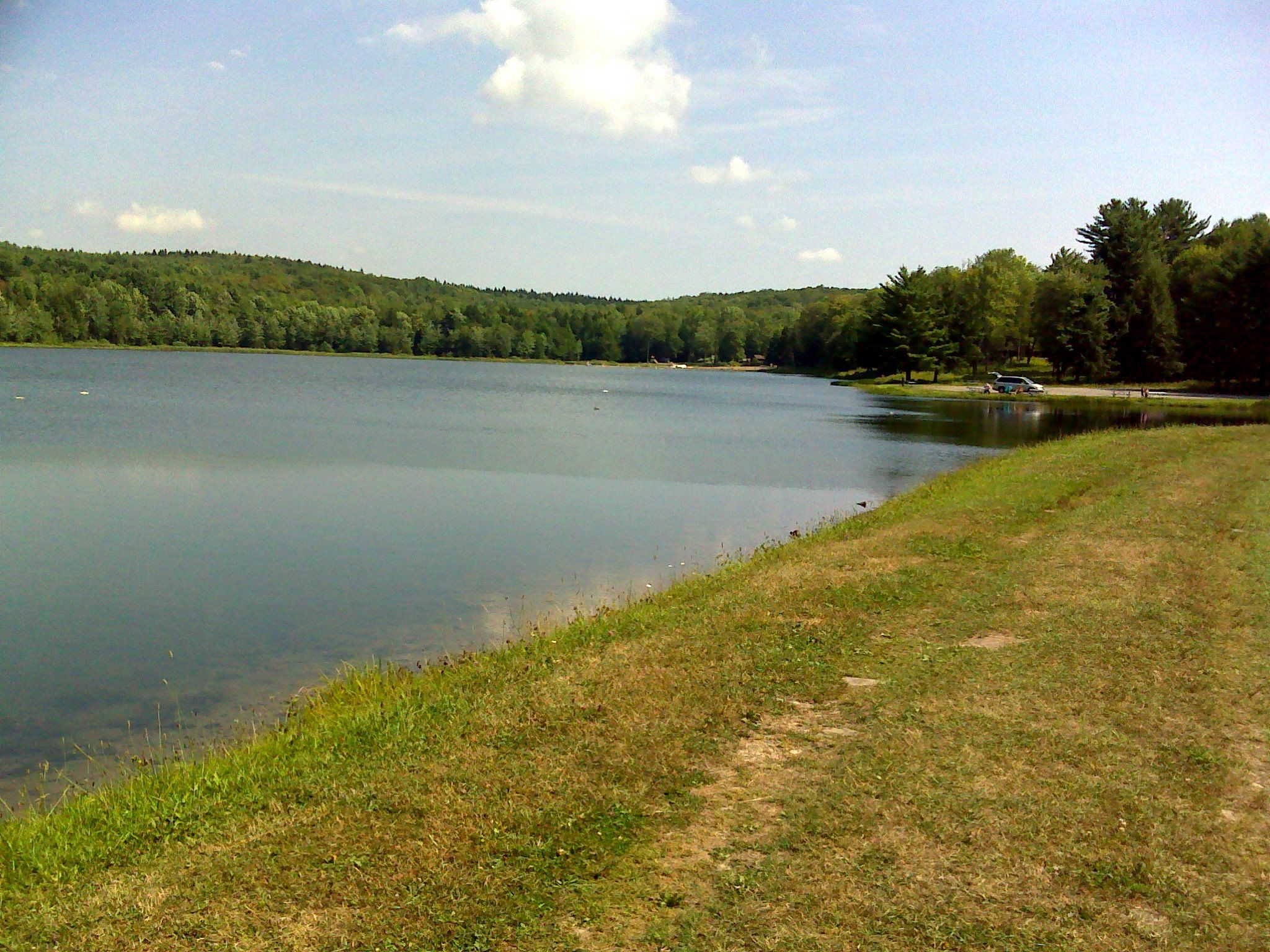 Wide view of a calm lake surrounded by green forests under a bright sky. - Berry Hill Fire Tower Trail