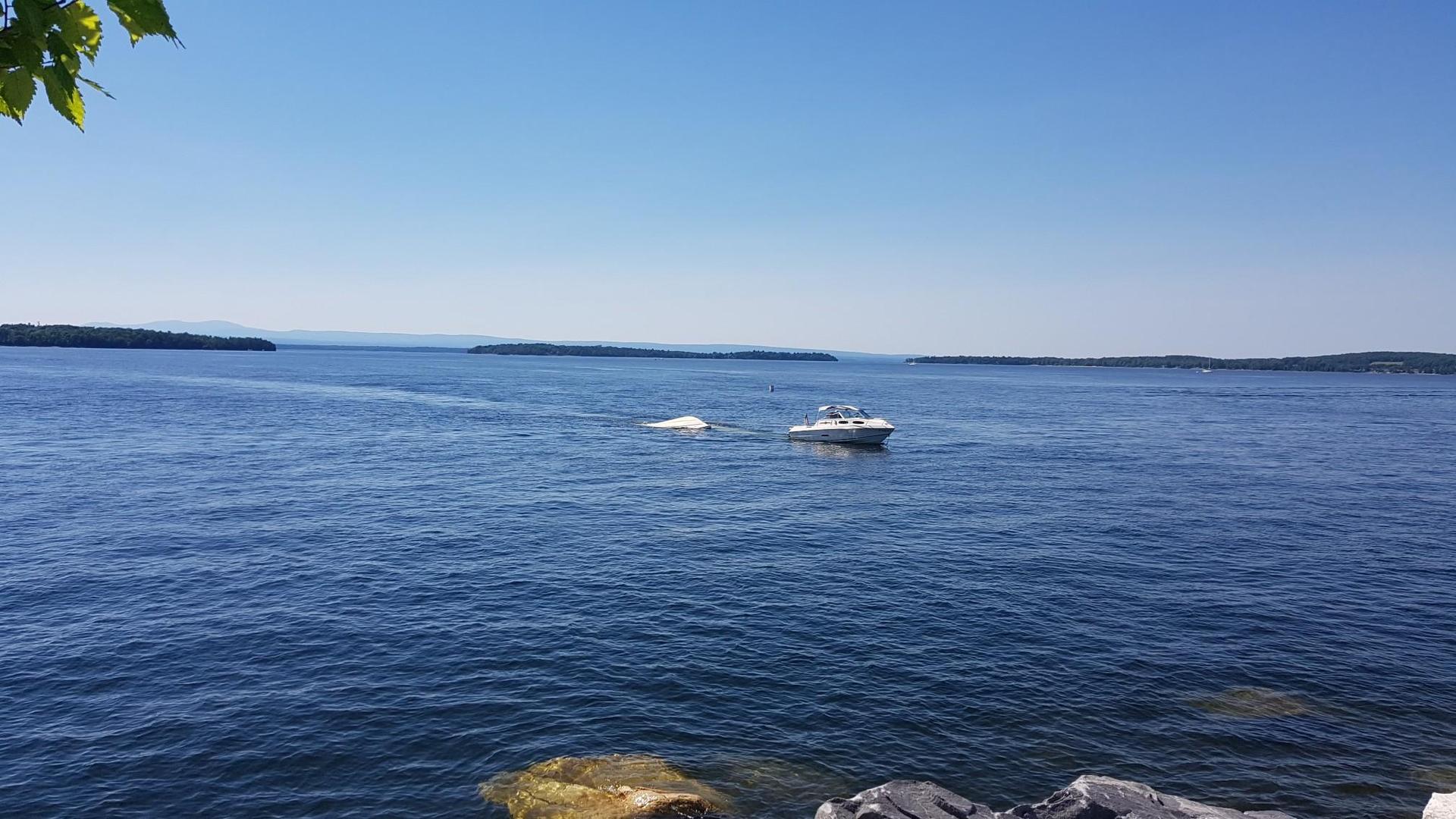 A motorboat pulling a tube on a wide, sunny lake with distant islands.