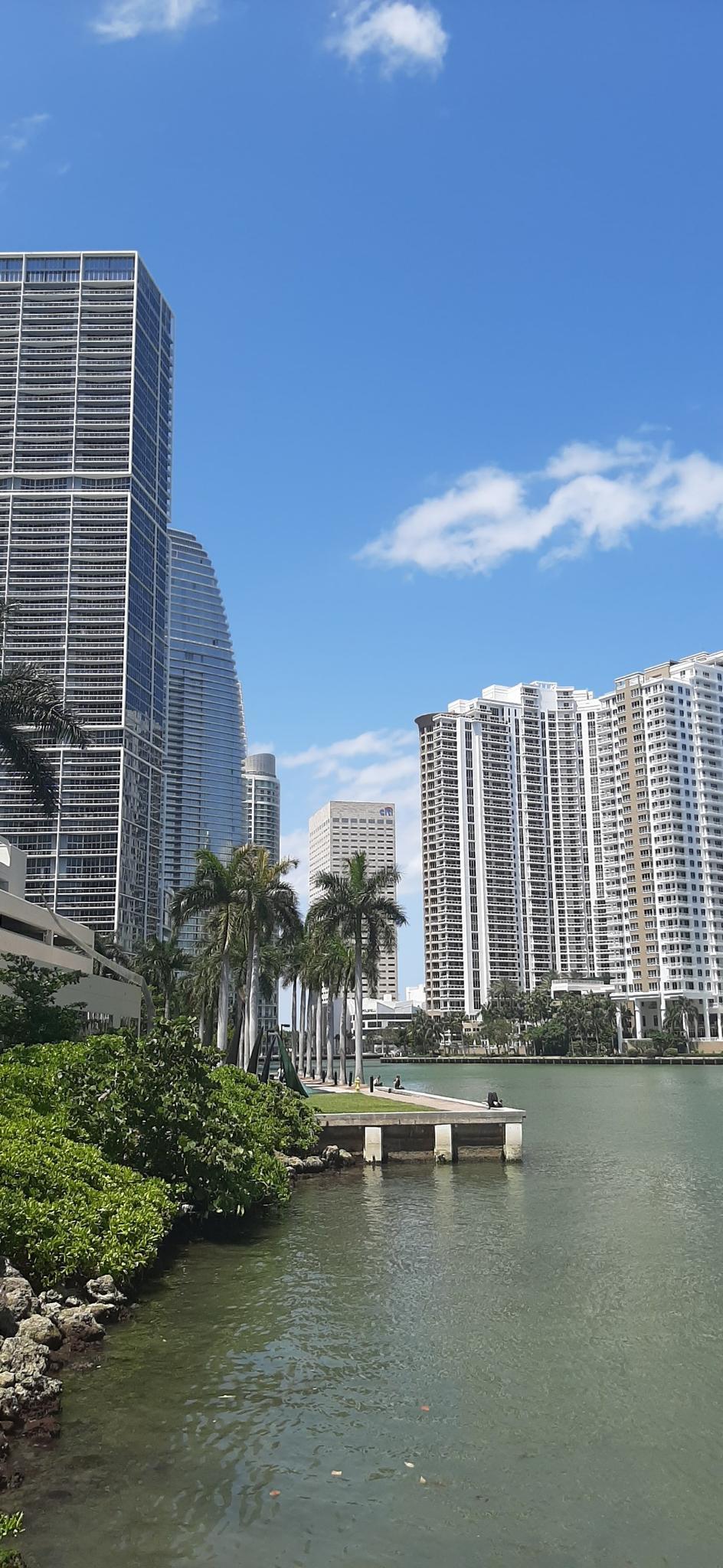 Tall buildings and palm trees line a sunny waterfront under a blue sky.