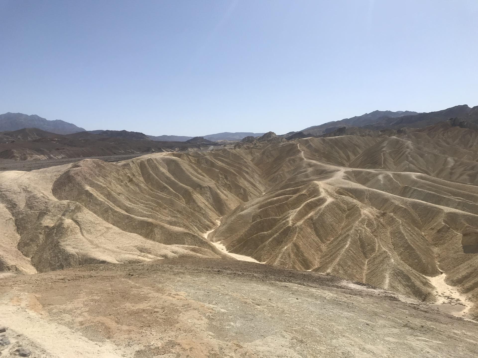 Expansive view of undulating, light-colored desert hills under a clear sky.