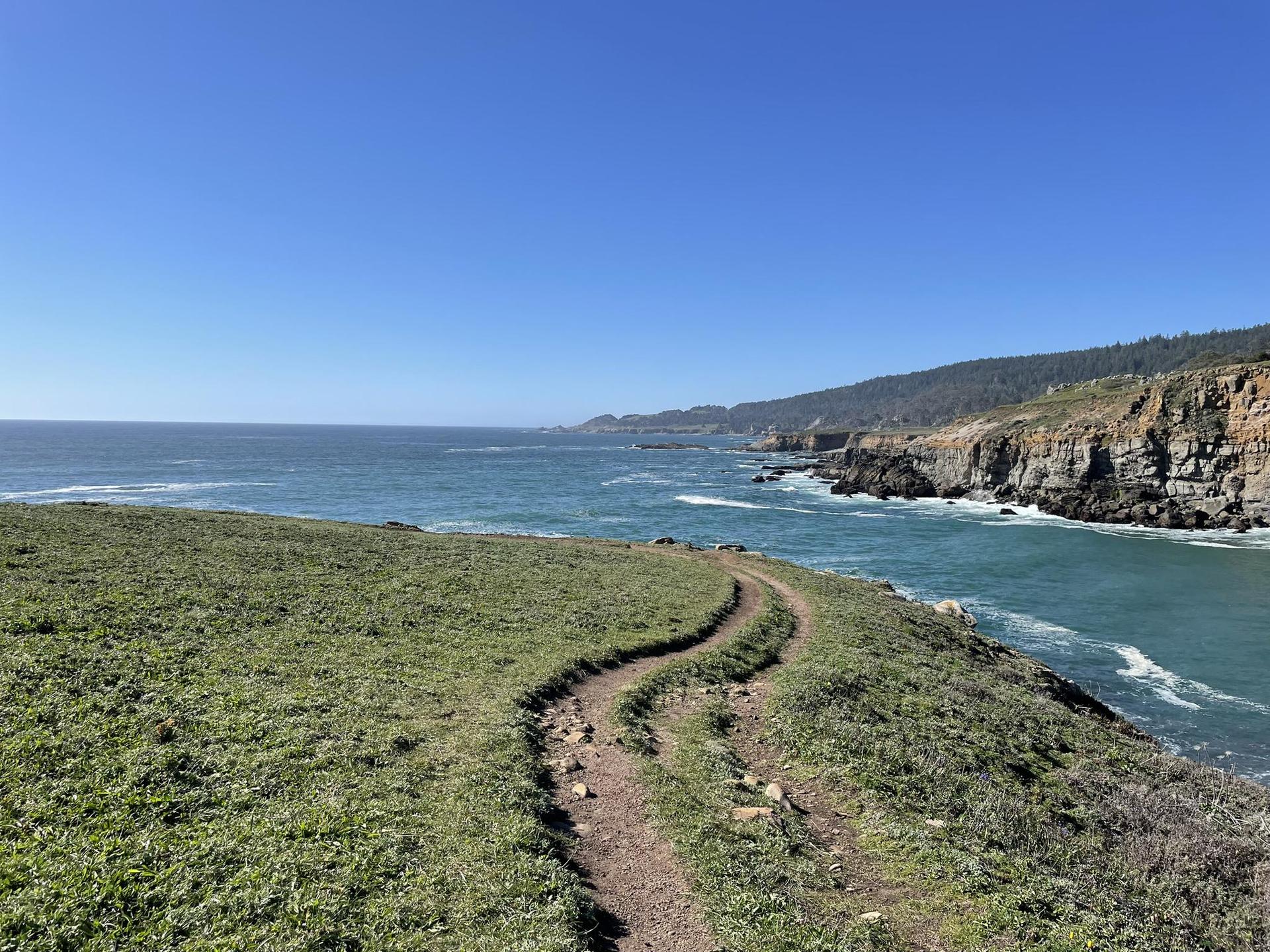 A winding dirt path along a sunny, grassy cliff overlooking the ocean.