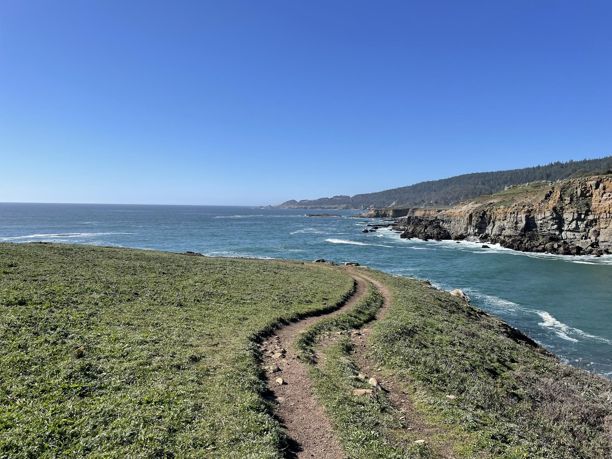 A winding dirt path along a sunny, grassy cliff overlooking the ocean. - Salt Point State Park Loop
