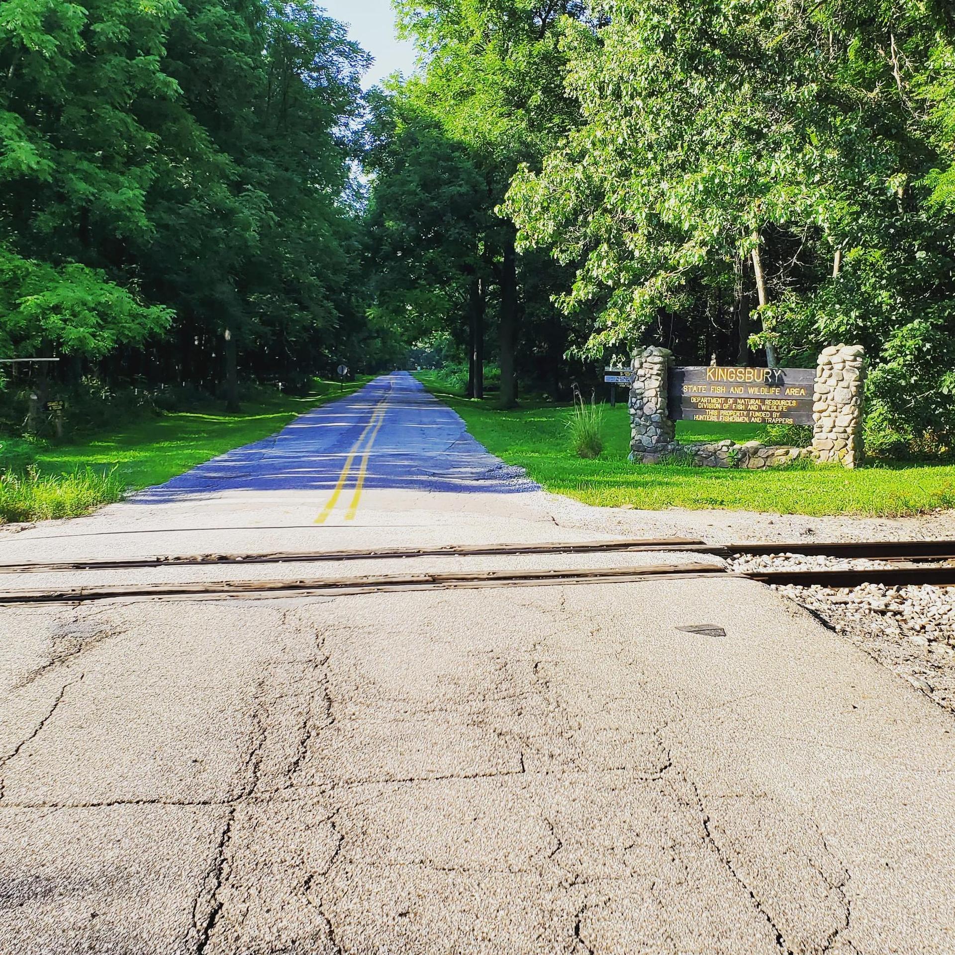 Paved road with railroad tracks crossing, flanked by lush green trees.
